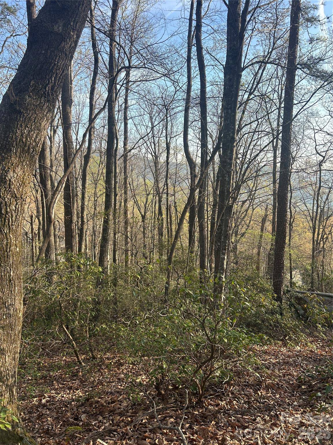Lot 301 Cardinal RD #301, Lake Lure, NC 28746