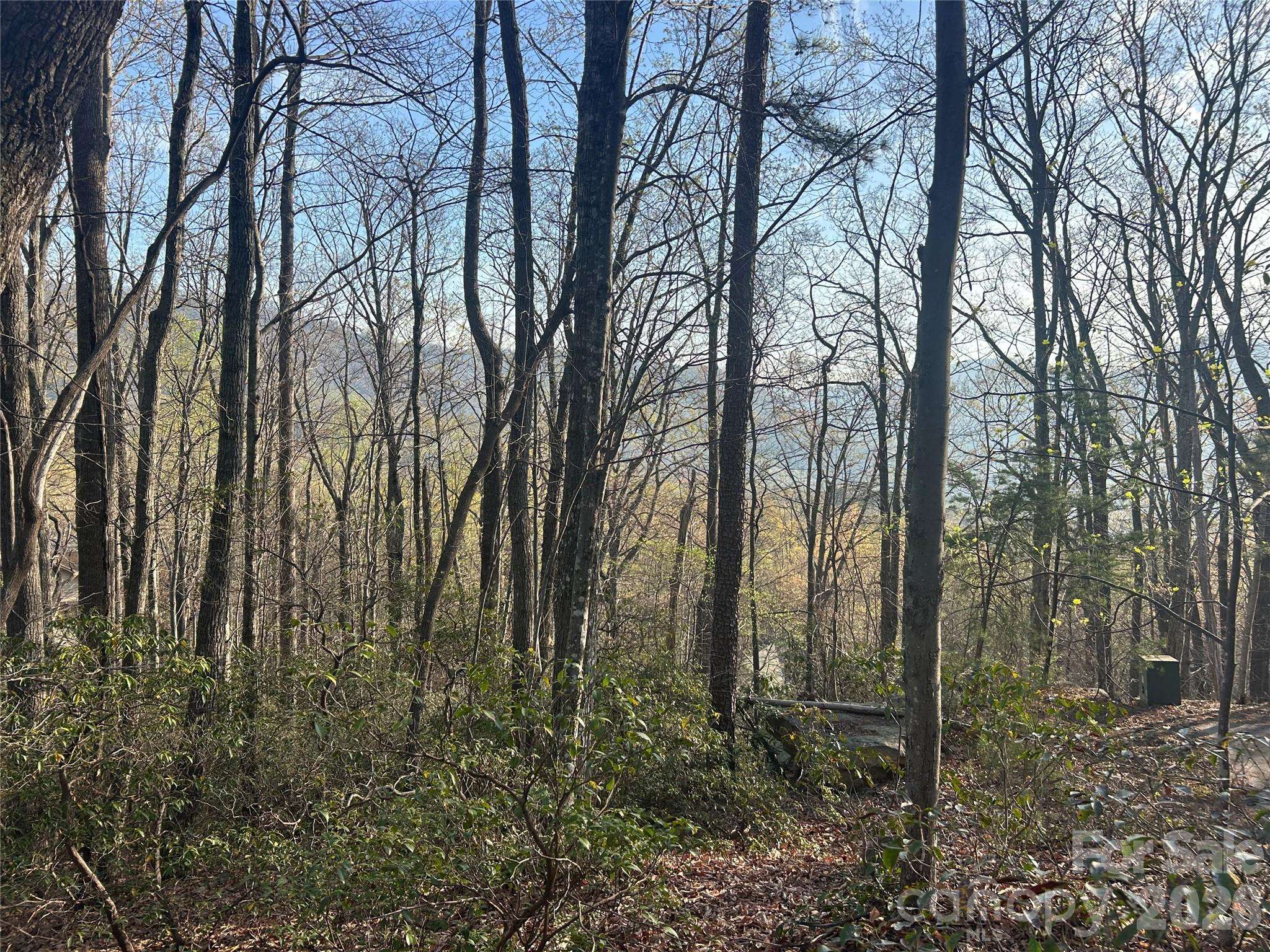 Lot 301 Cardinal RD #301, Lake Lure, NC 28746