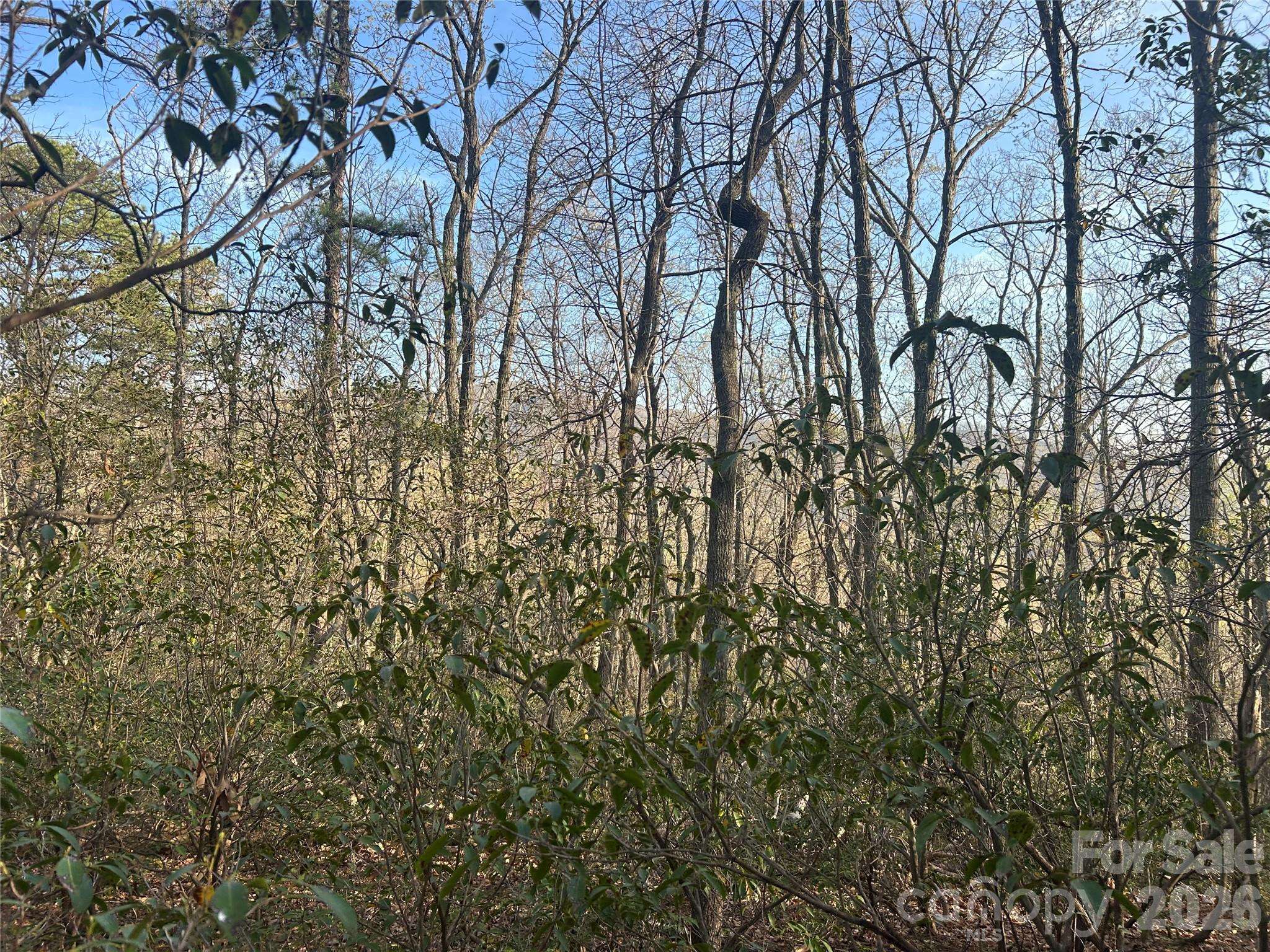 Lot 301 Cardinal RD #301, Lake Lure, NC 28746