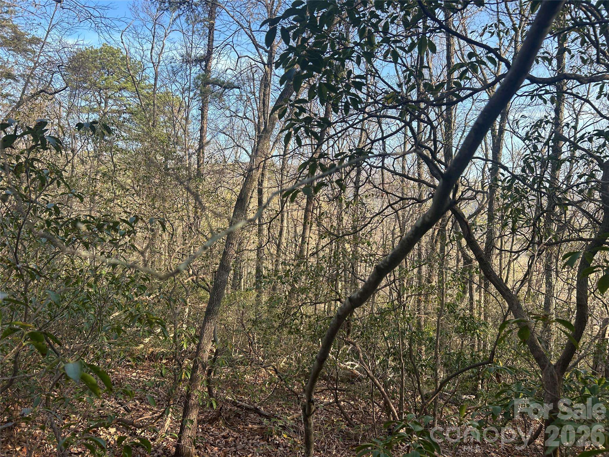 Lot 301 Cardinal RD #301, Lake Lure, NC 28746
