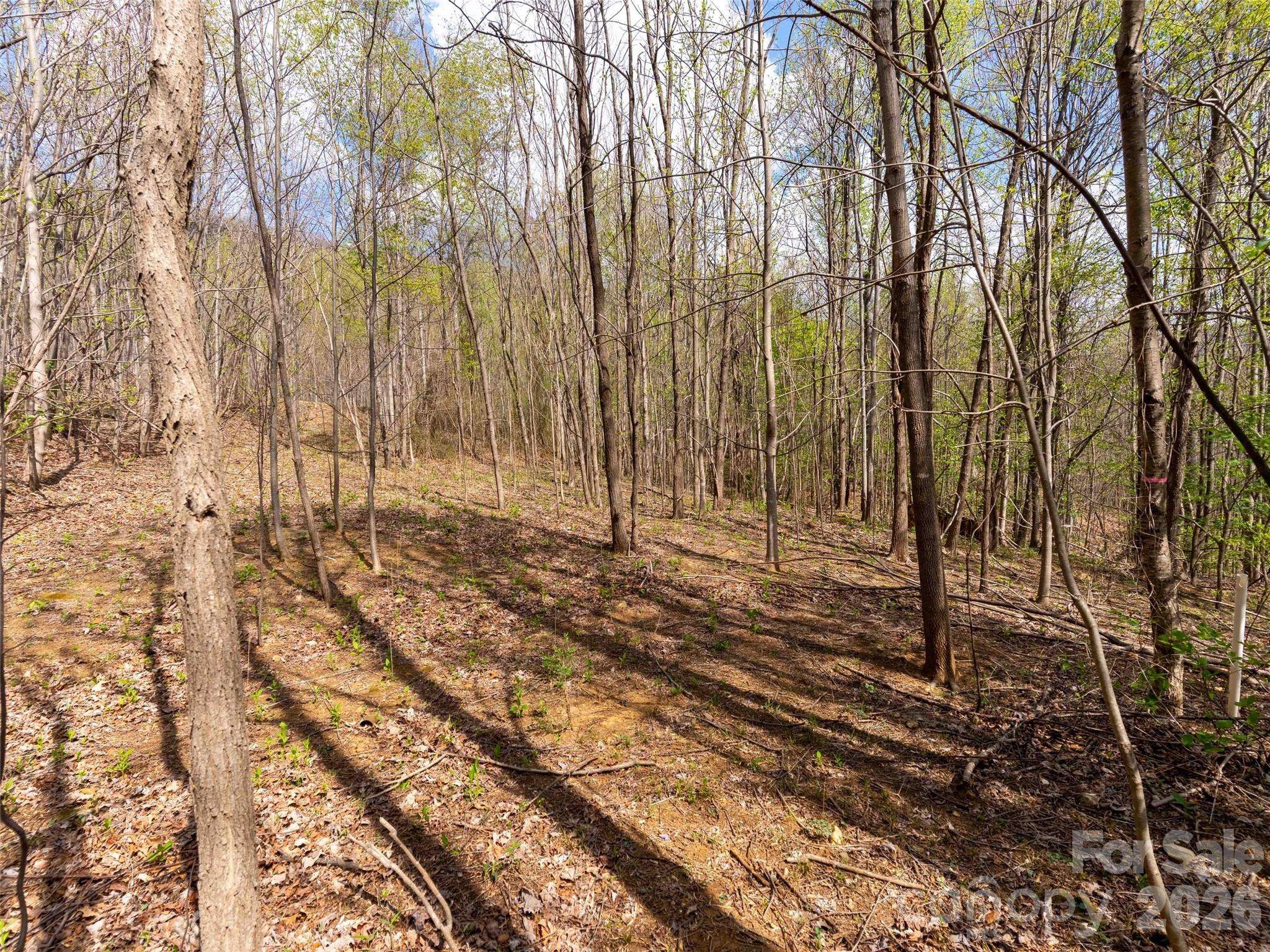 Lot 196 Cherry HL #196, Mill Spring, NC 28756