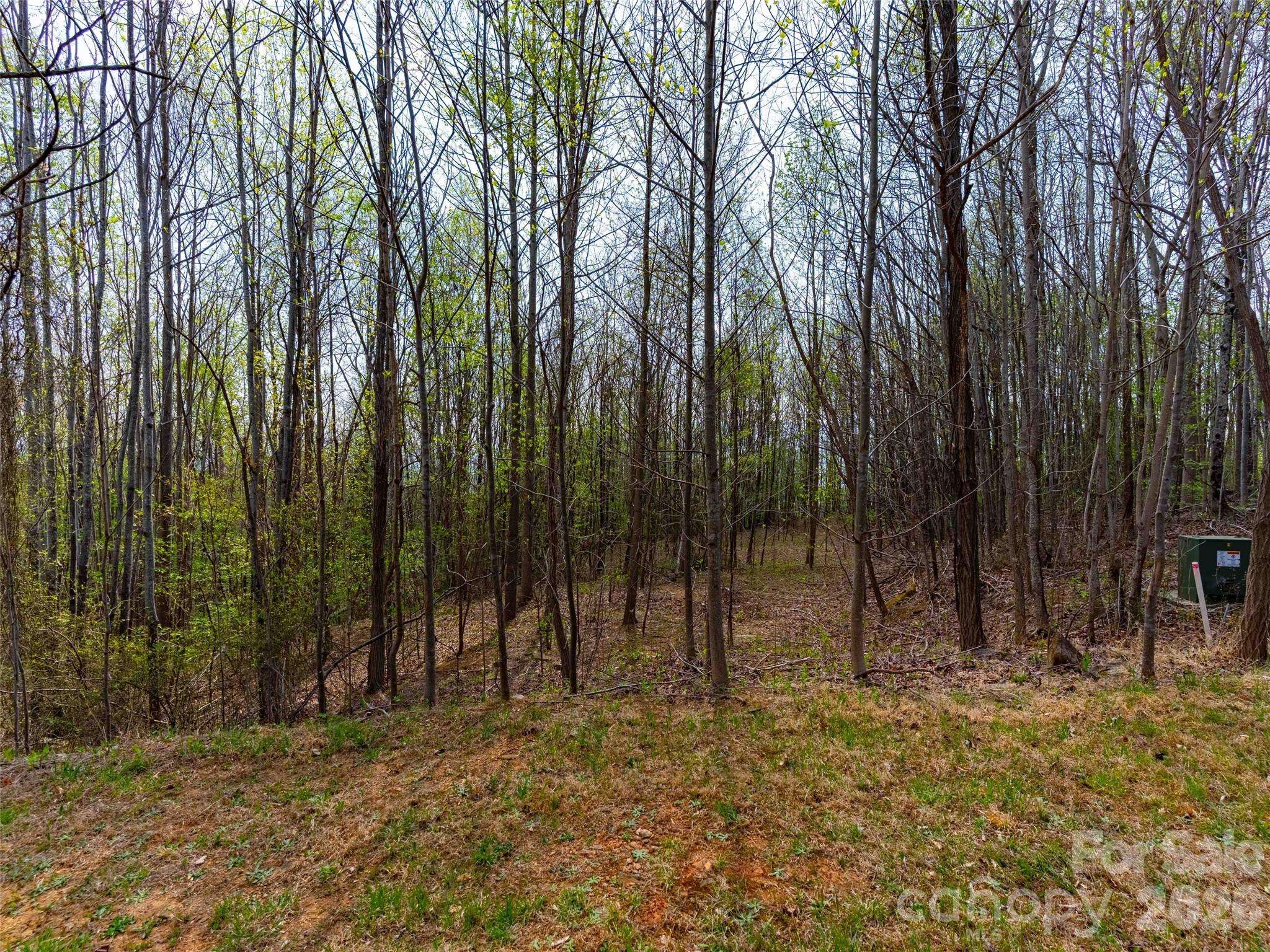 Lot 196 Cherry HL #196, Mill Spring, NC 28756