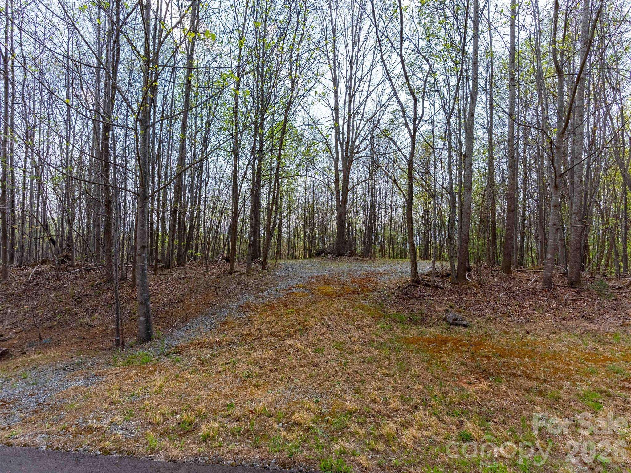 Lot 196 Cherry HL #196, Mill Spring, NC 28756