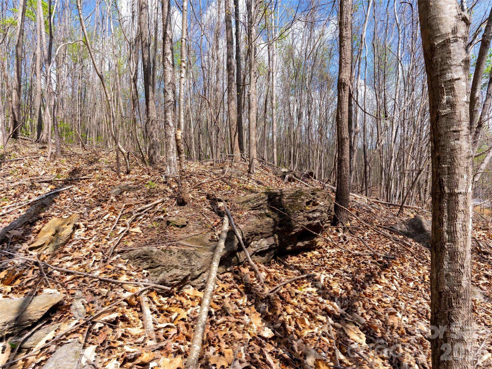 Lot 196 Cherry HL #196, Mill Spring, NC 28756