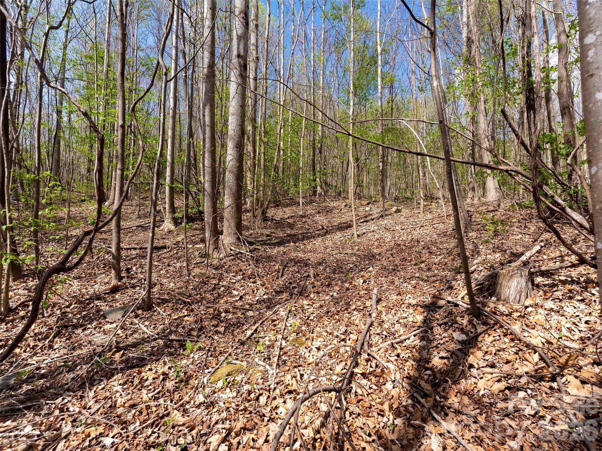 Lot 196 Cherry HL #196, Mill Spring, NC 28756