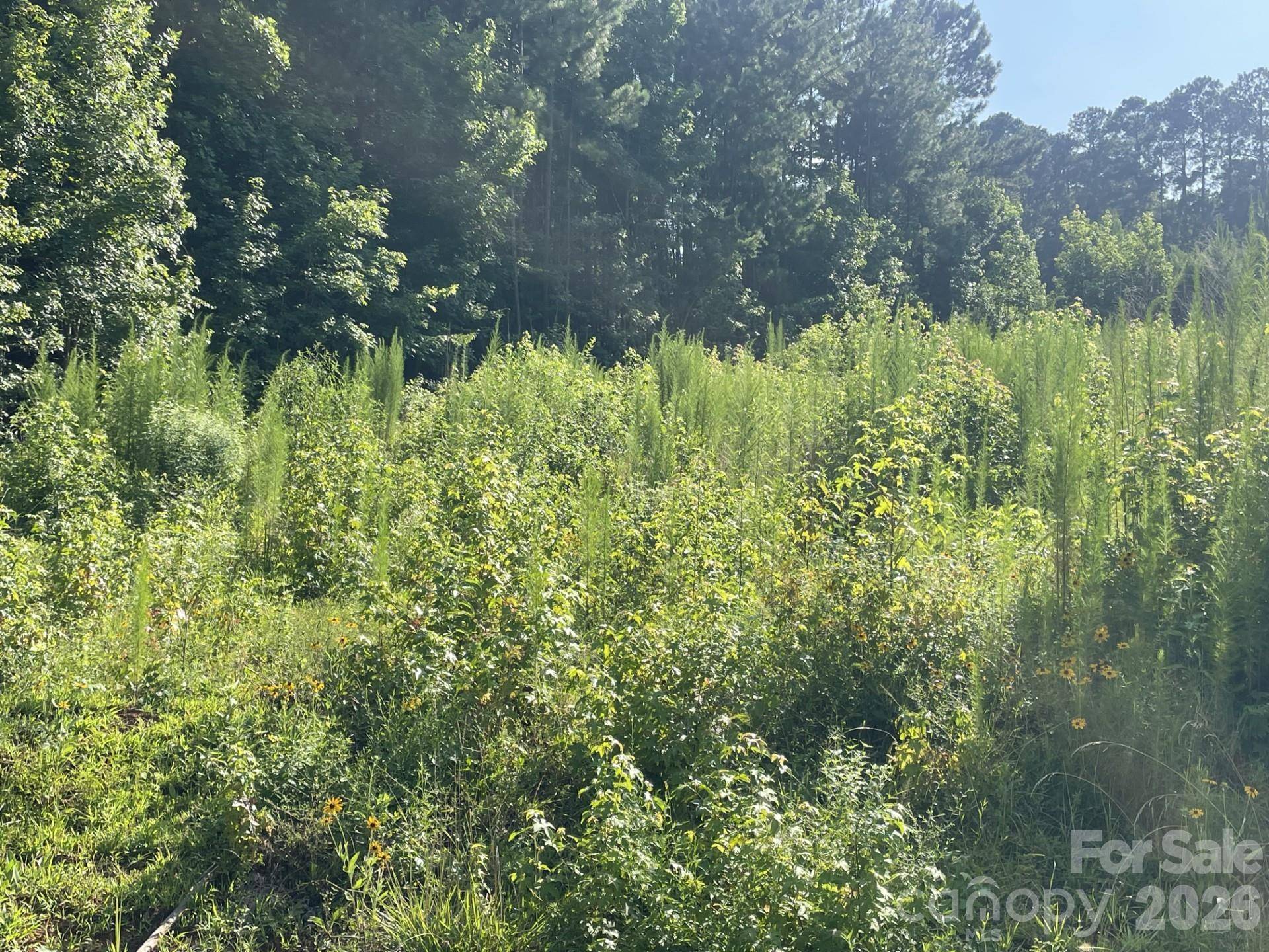 0 Ski Pond RD, New London, NC 28127