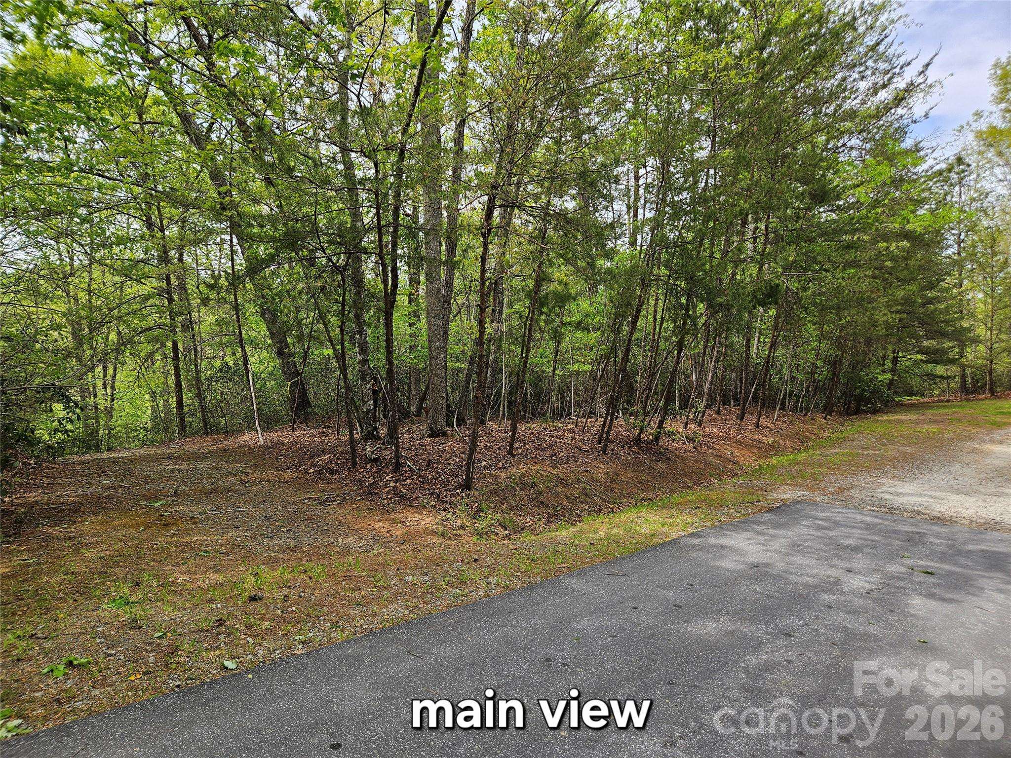 81 N Mill Ridge RD, Nebo, NC 28761