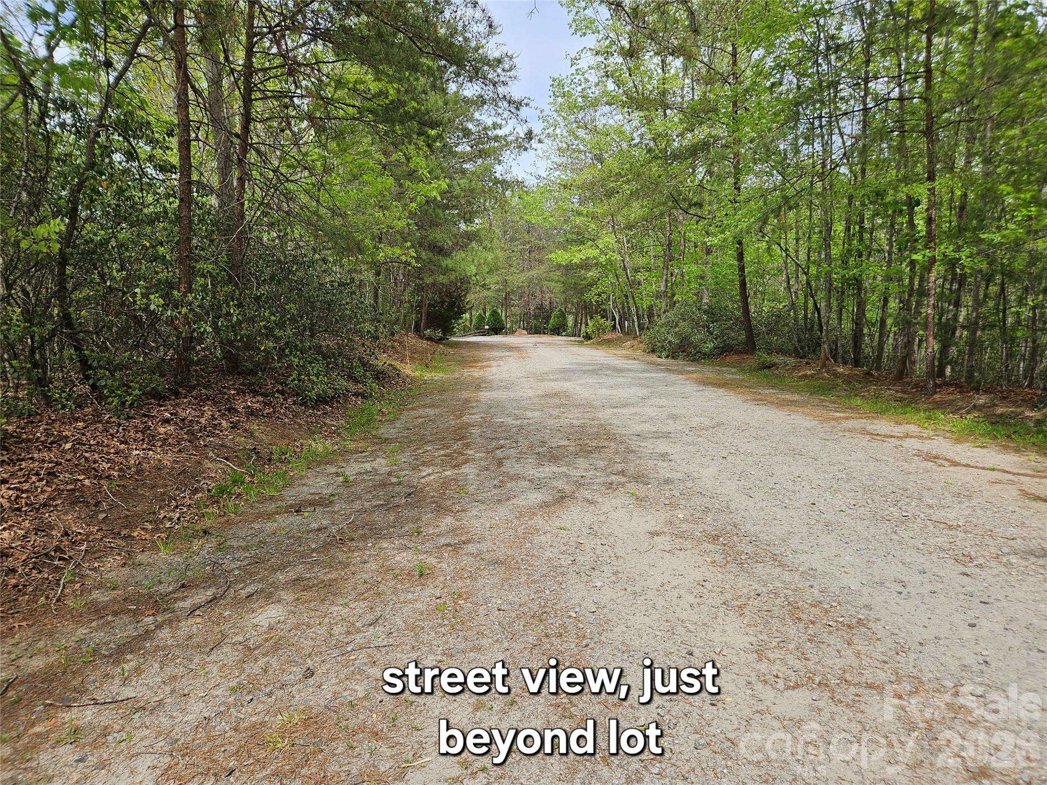 81 N Mill Ridge RD, Nebo, NC 28761