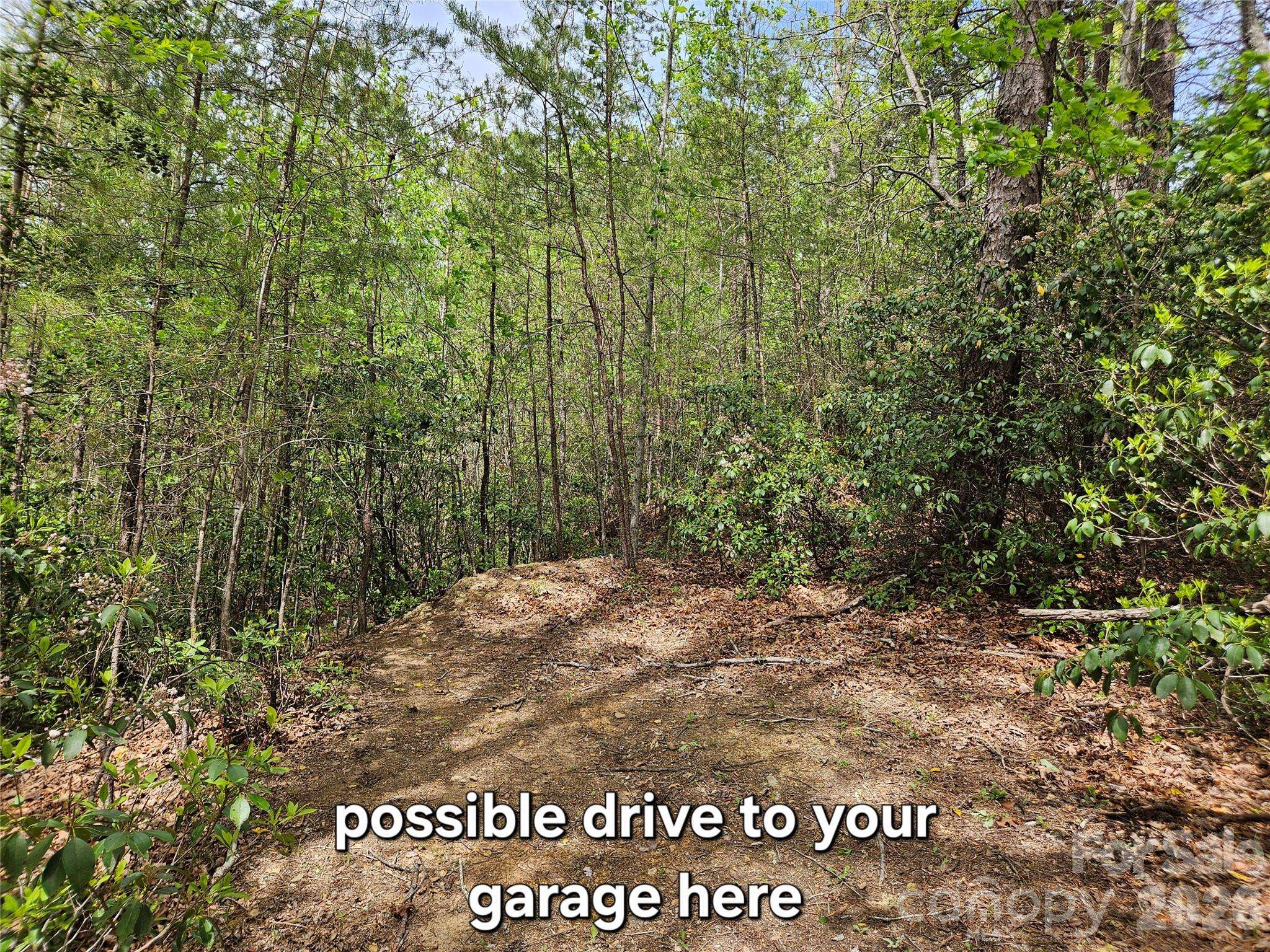 81 N Mill Ridge RD, Nebo, NC 28761