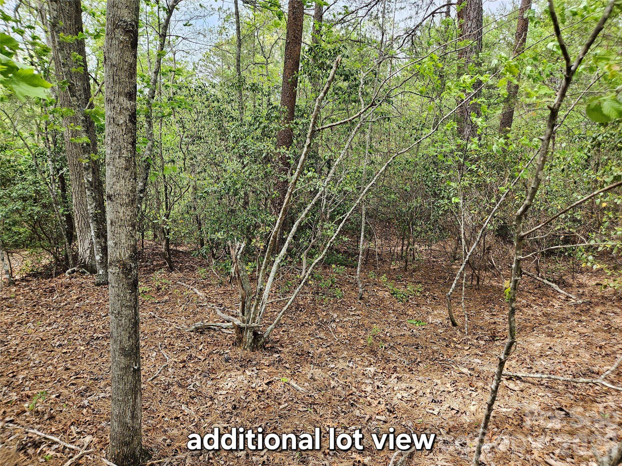 81 N Mill Ridge RD, Nebo, NC 28761