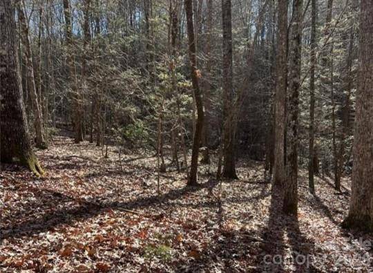 0 Twin Maple WAY #5, Mill Spring, NC 28756