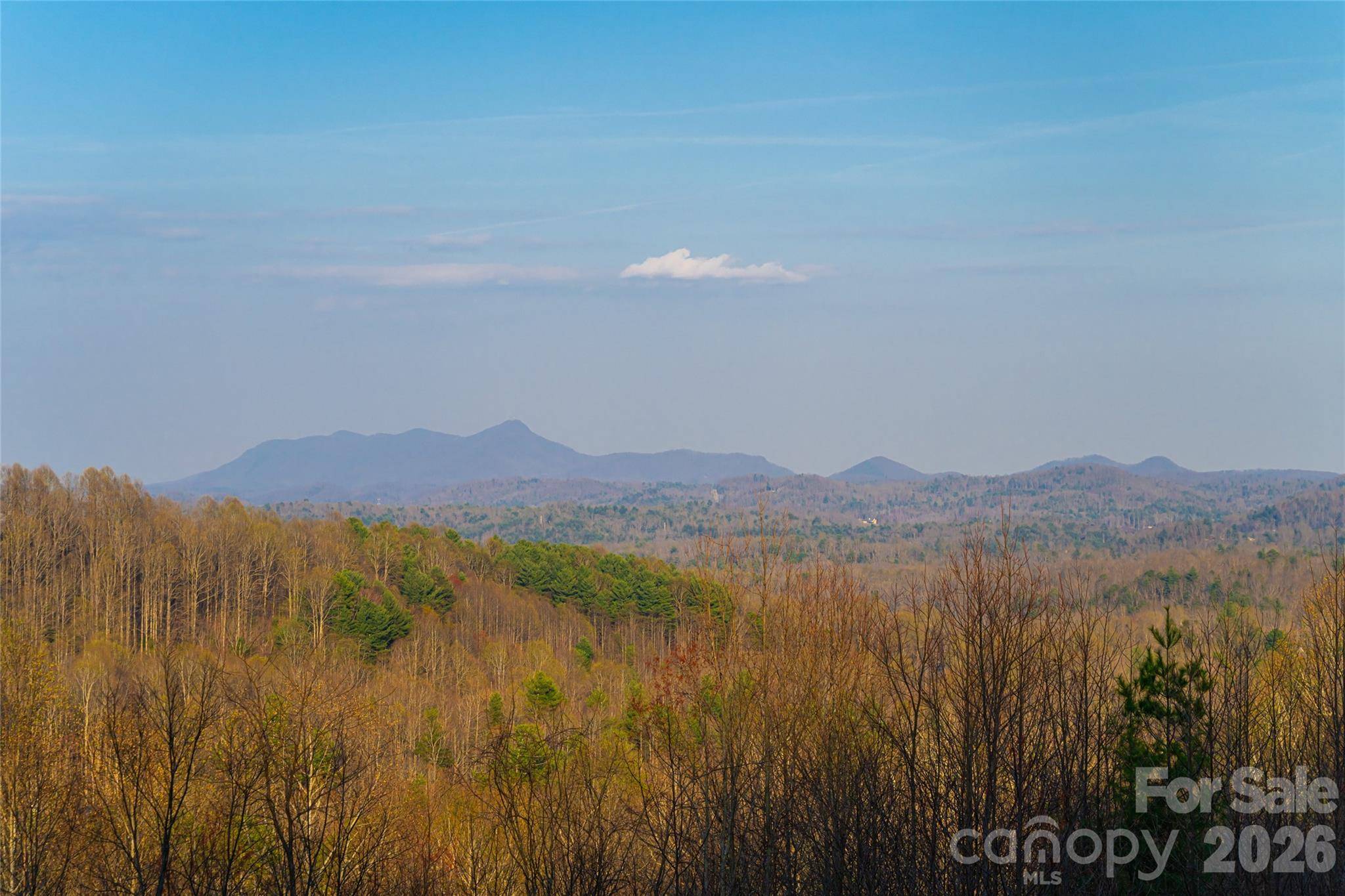 527 Falkirk WAY, Zirconia, NC 28790