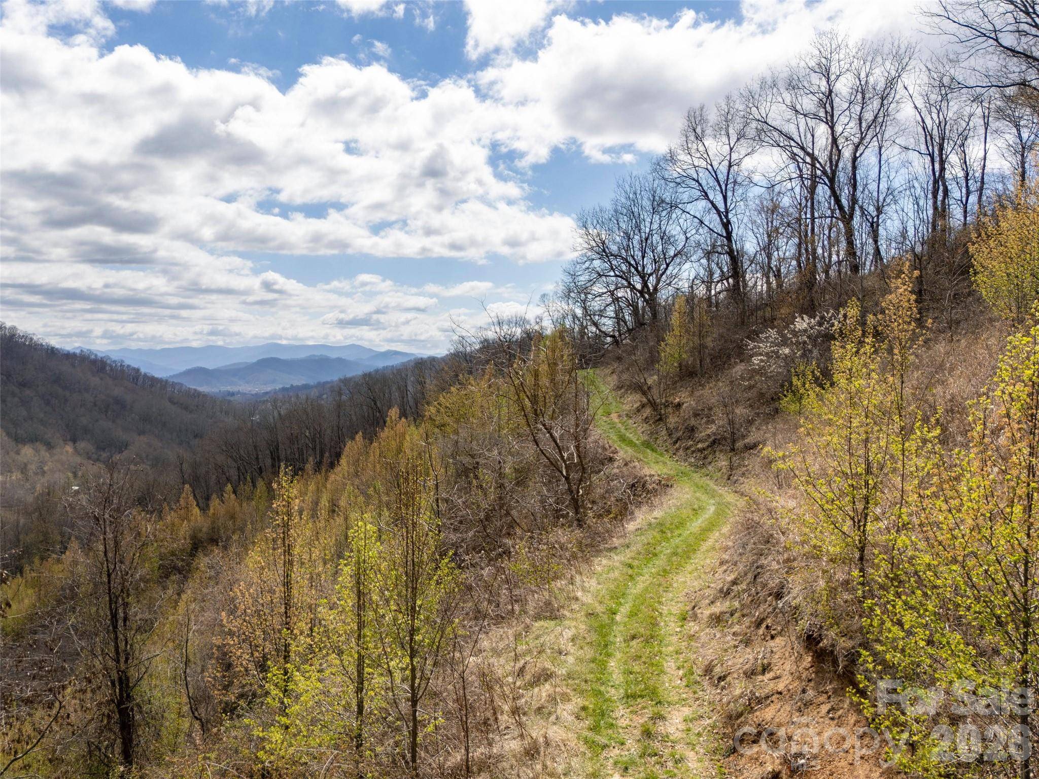 TBD Wilson Cove RD, Canton, NC 28716