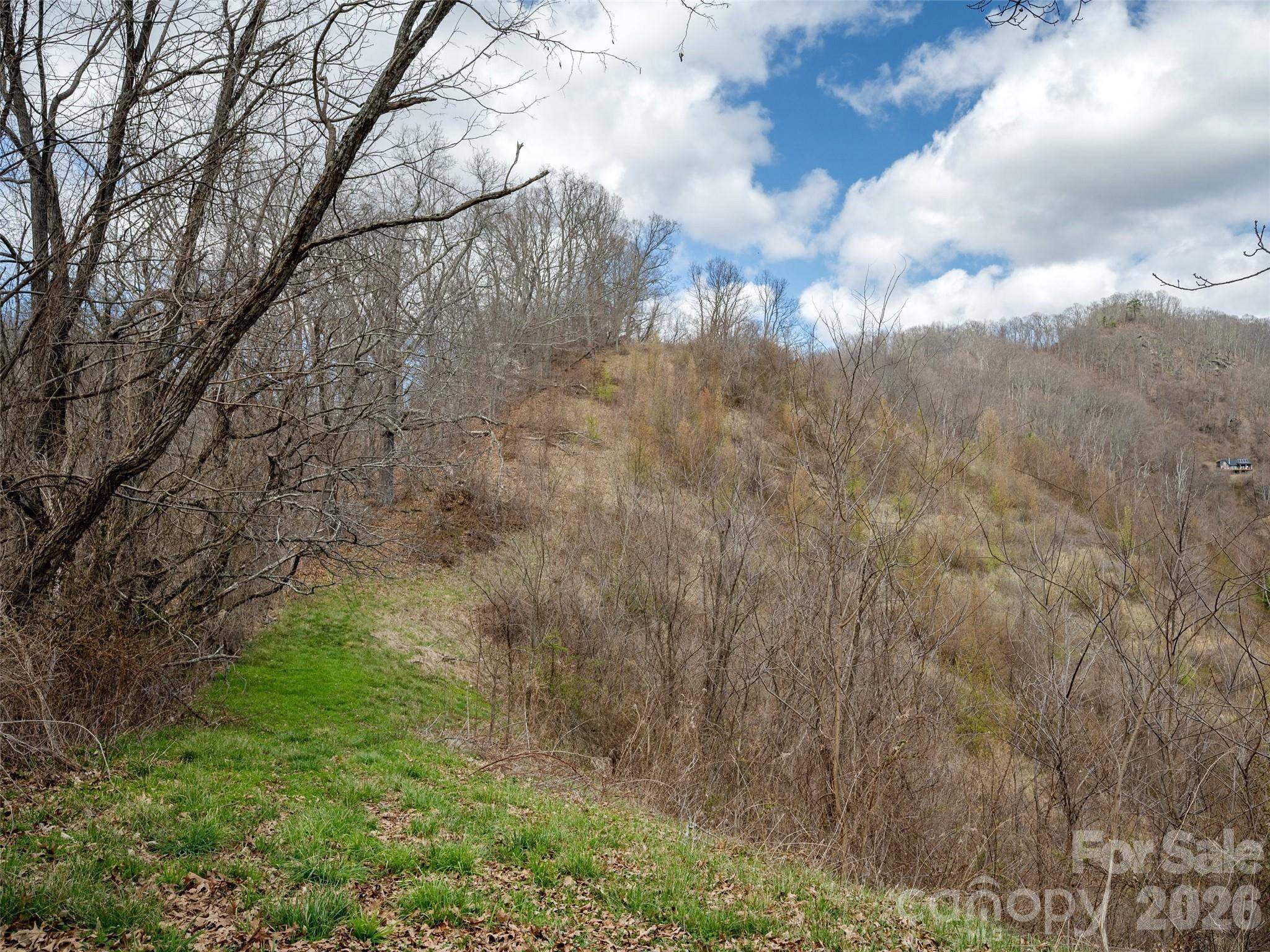 TBD Wilson Cove RD, Canton, NC 28716