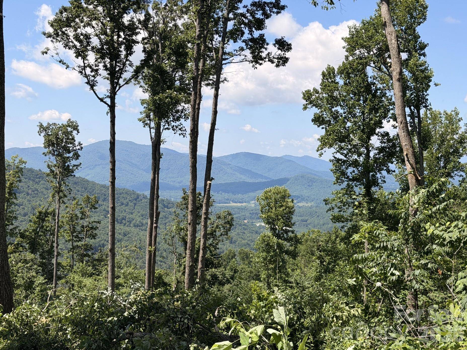 588 Long Branch RD, Swannanoa, NC 28778