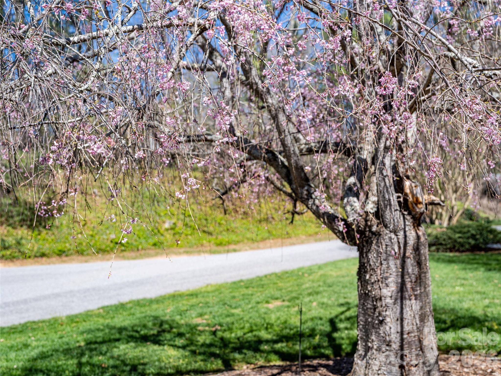 4 Dogwood RD, Asheville, NC 28804