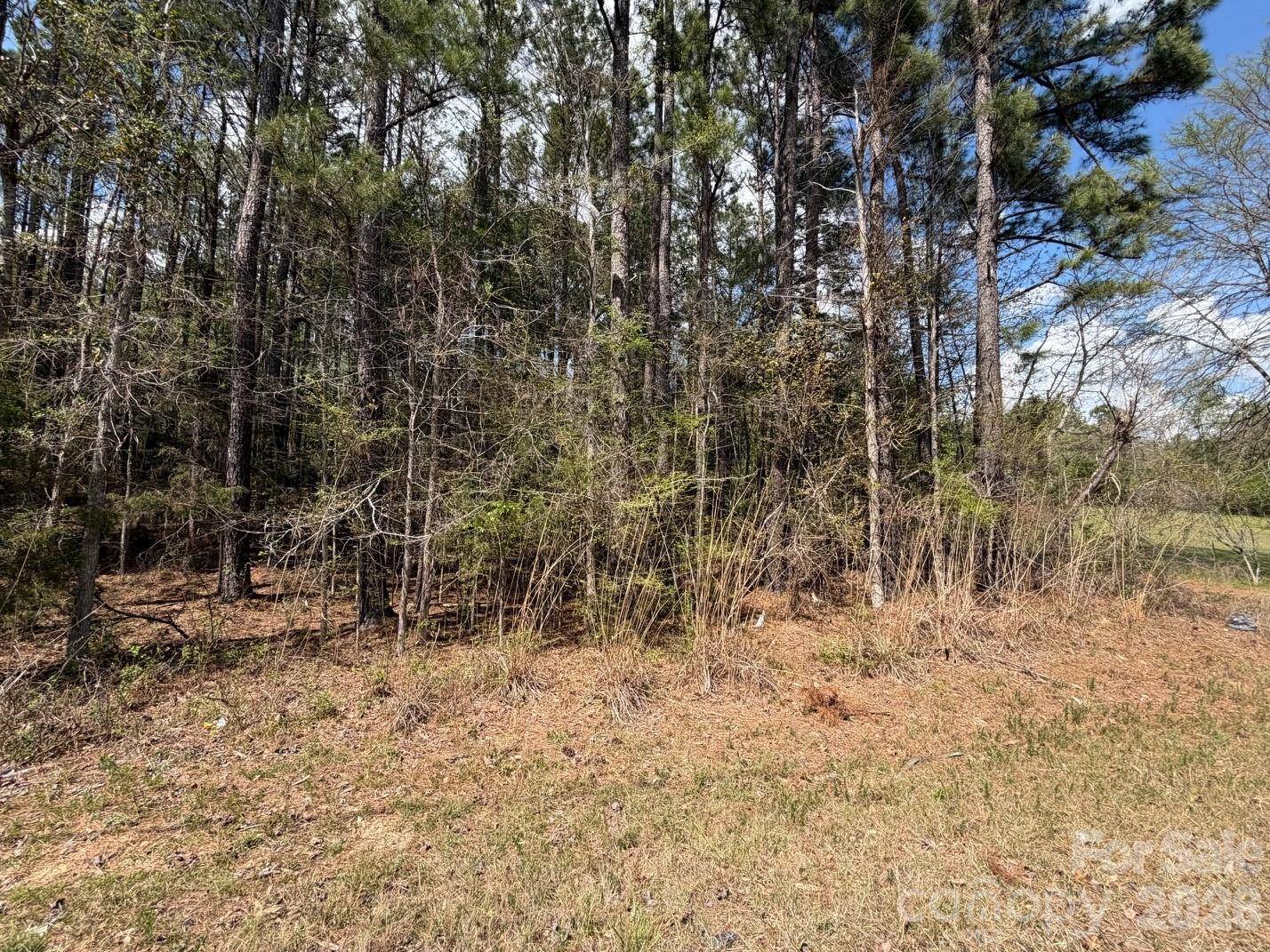 00 Brooklyn RD, Great Falls, SC 29055