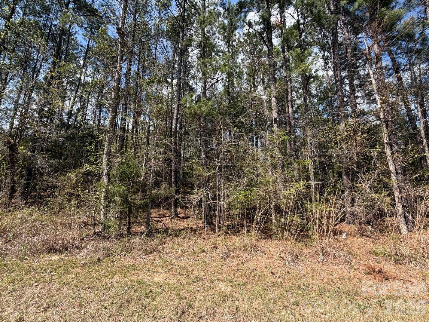 00 Brooklyn RD, Great Falls, SC 29055