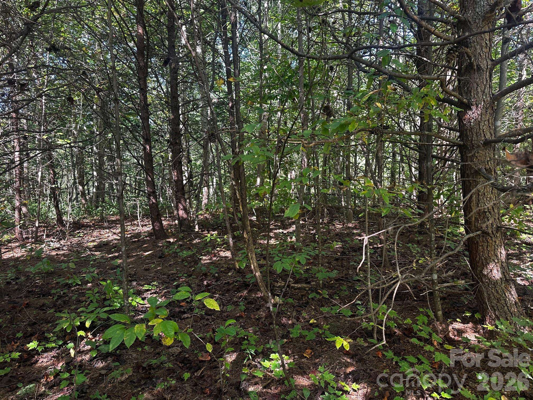 0 Clear Creek TRL, Lake Lure, NC 28746