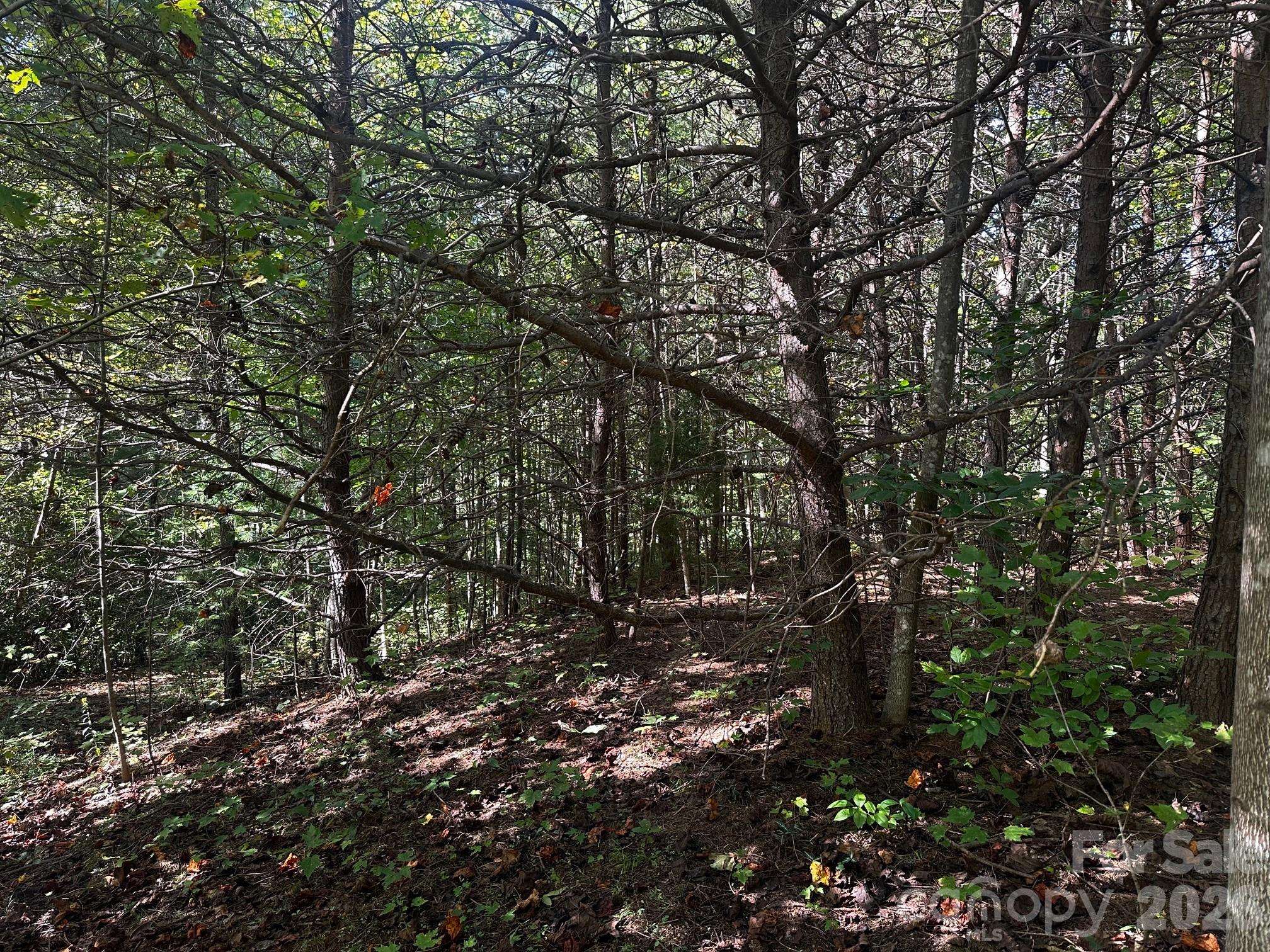 0 Clear Creek TRL, Lake Lure, NC 28746