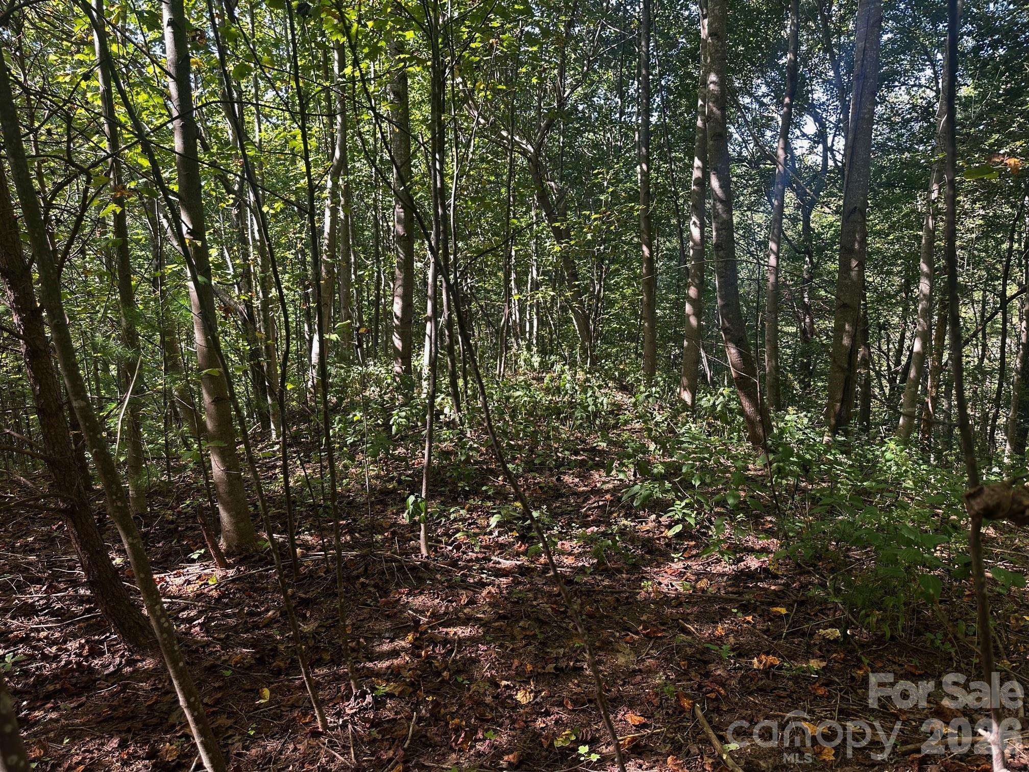 0 Clear Creek TRL, Lake Lure, NC 28746