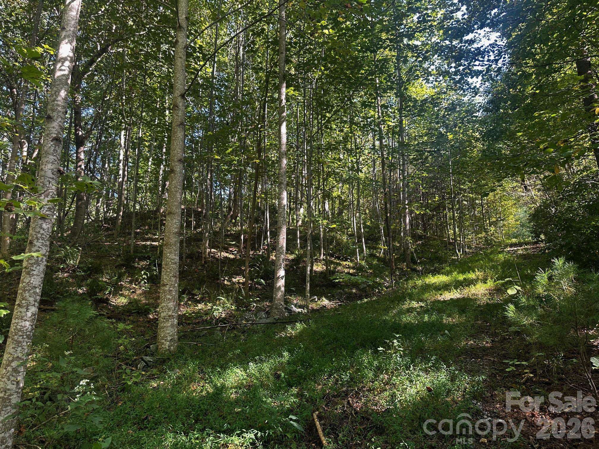 0 Clear Creek TRL, Lake Lure, NC 28746