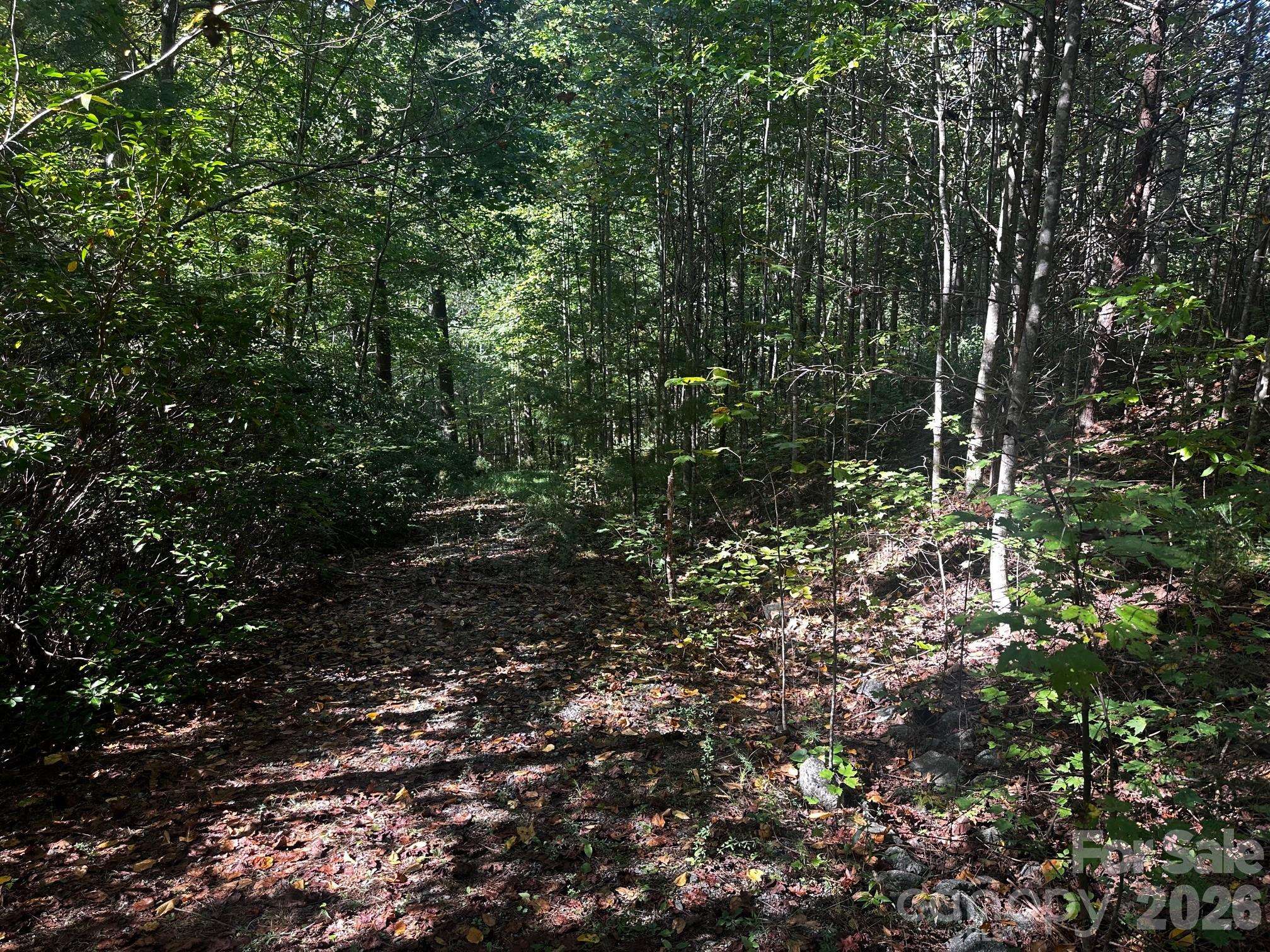 0 Clear Creek TRL, Lake Lure, NC 28746
