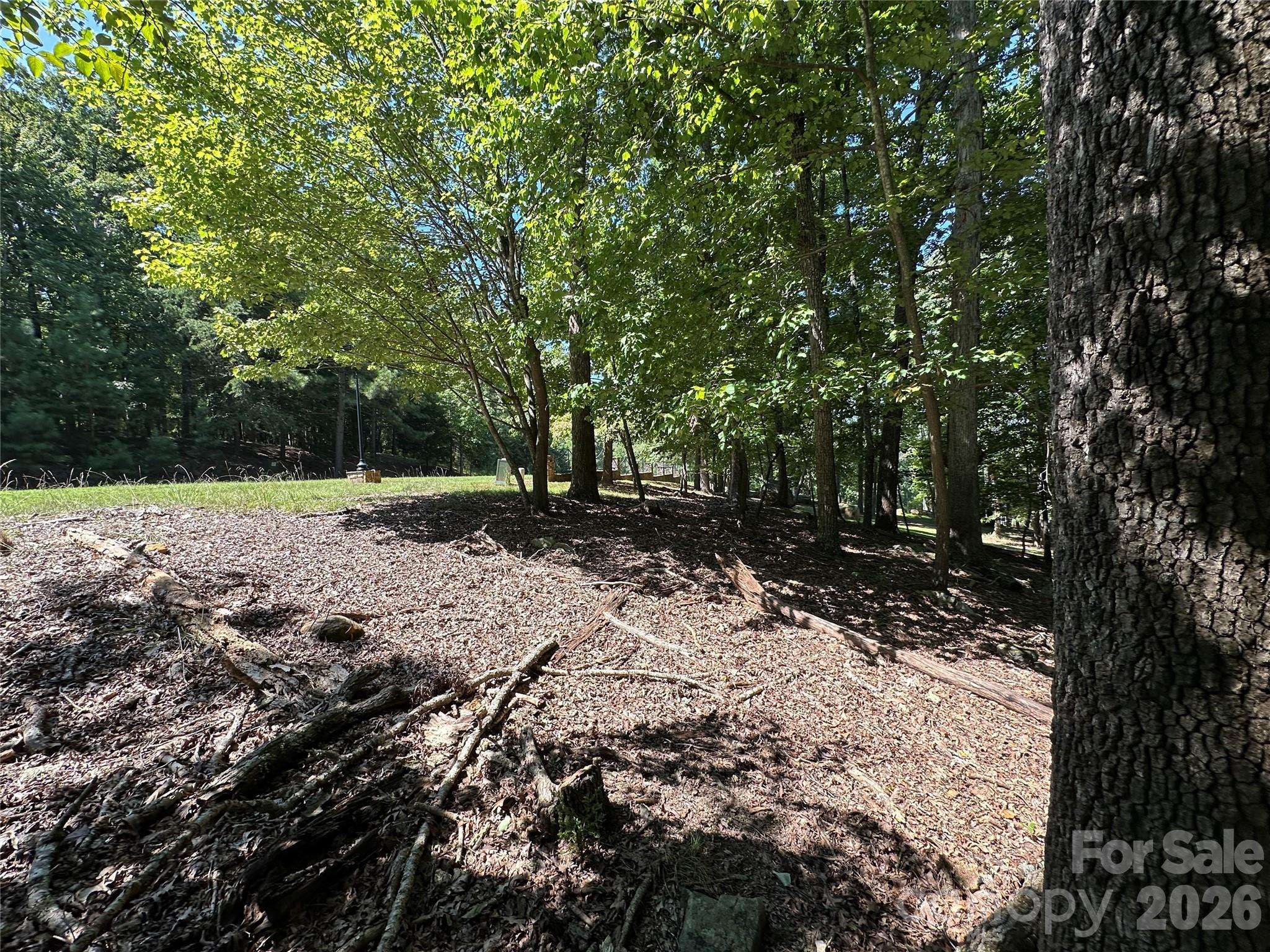 1768 Rocky Cove LN, Denton, NC 27239
