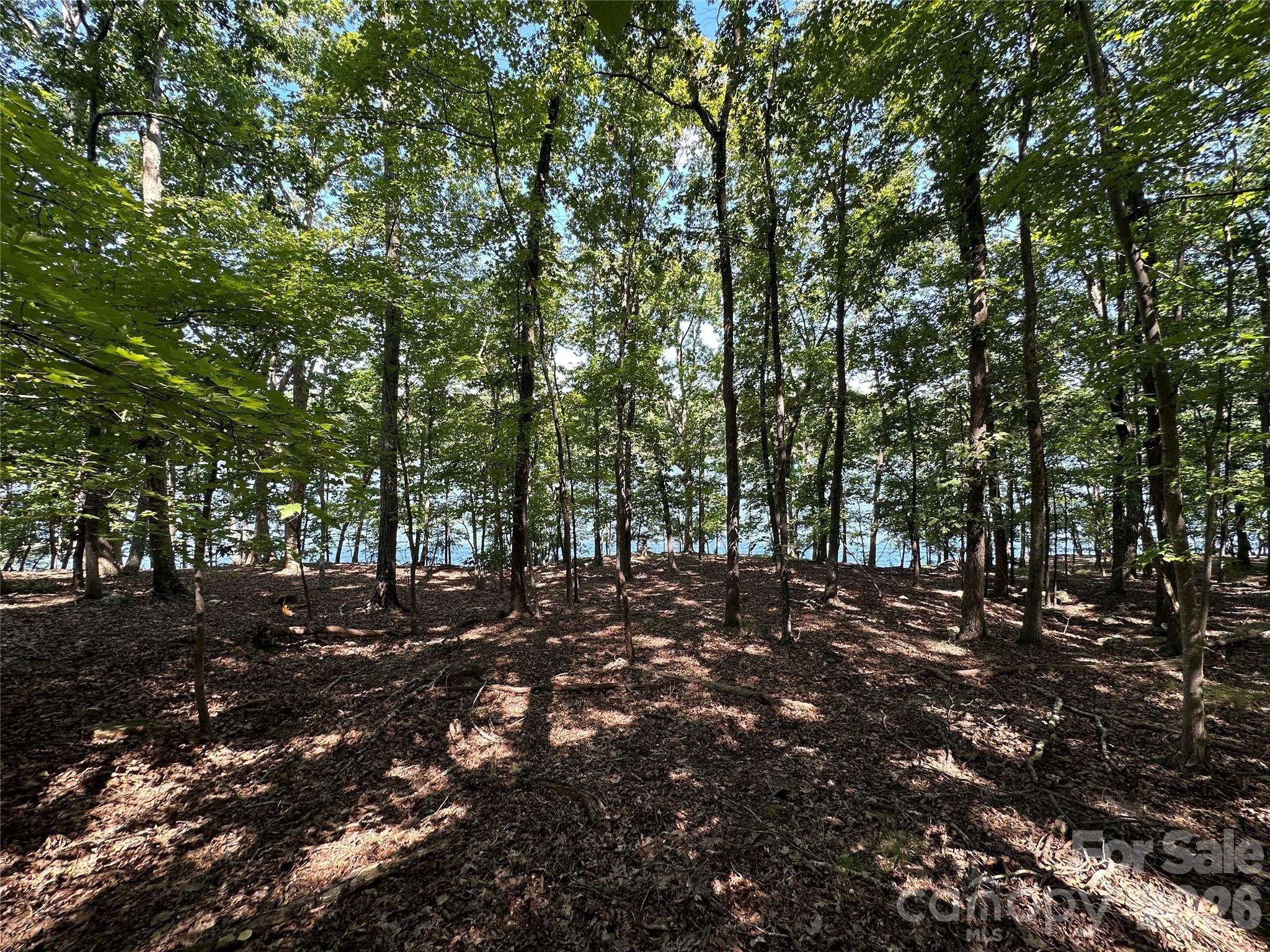 1768 Rocky Cove LN, Denton, NC 27239