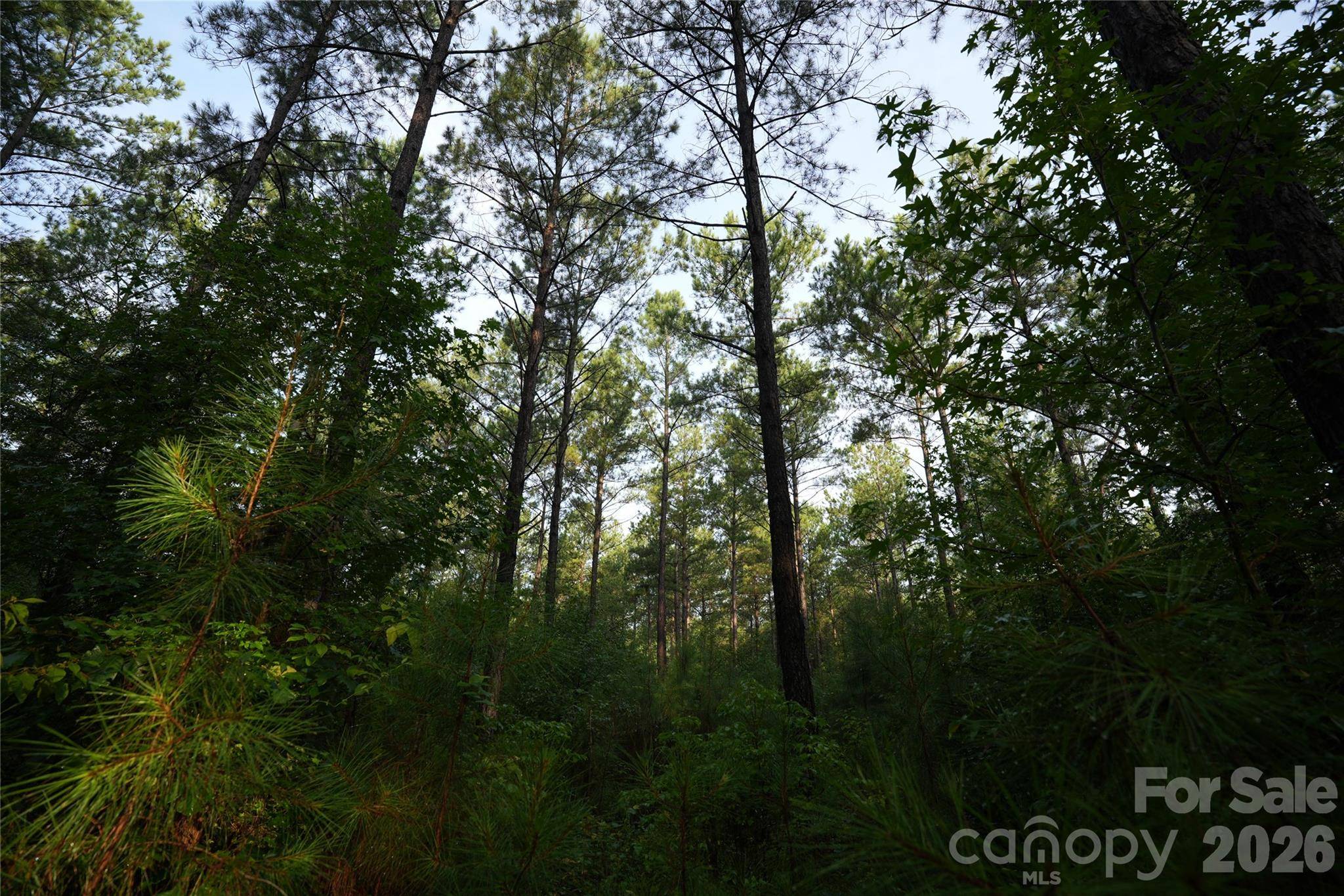 00 Bobby Faucette RD #7, Jonesville, SC 29353