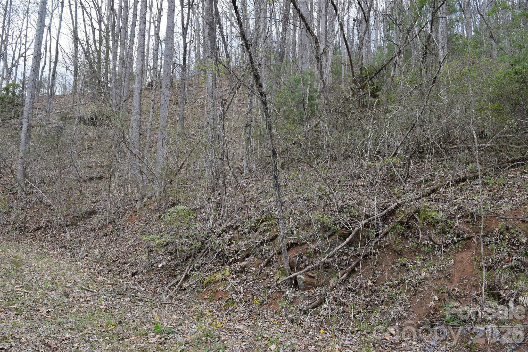 TBD Bel Air RD #20, Cullowhee, NC 28723