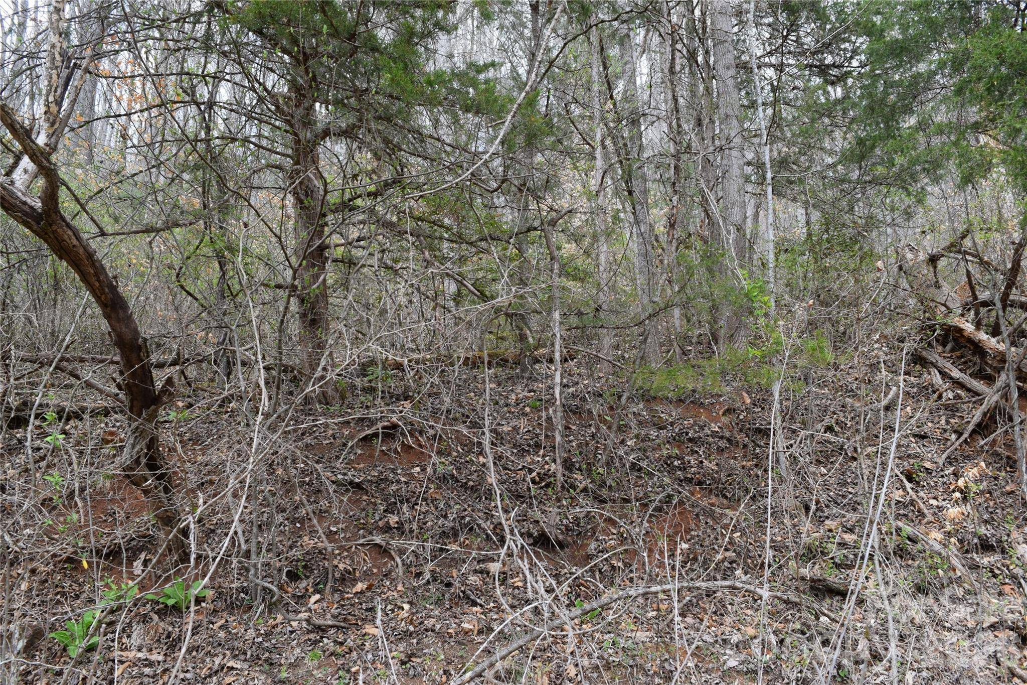 TBD Bel Air RD #20, Cullowhee, NC 28723