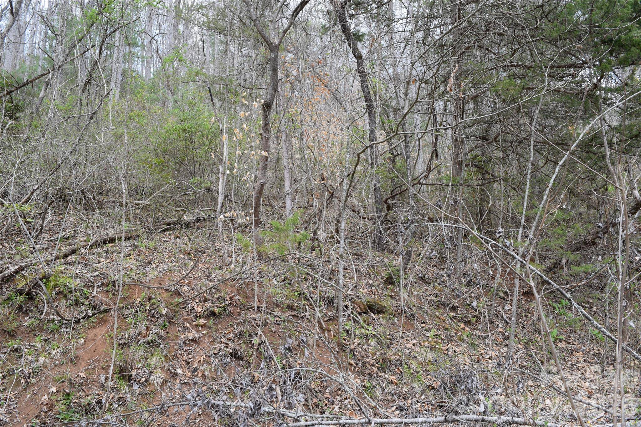 TBD Bel Air RD #20, Cullowhee, NC 28723