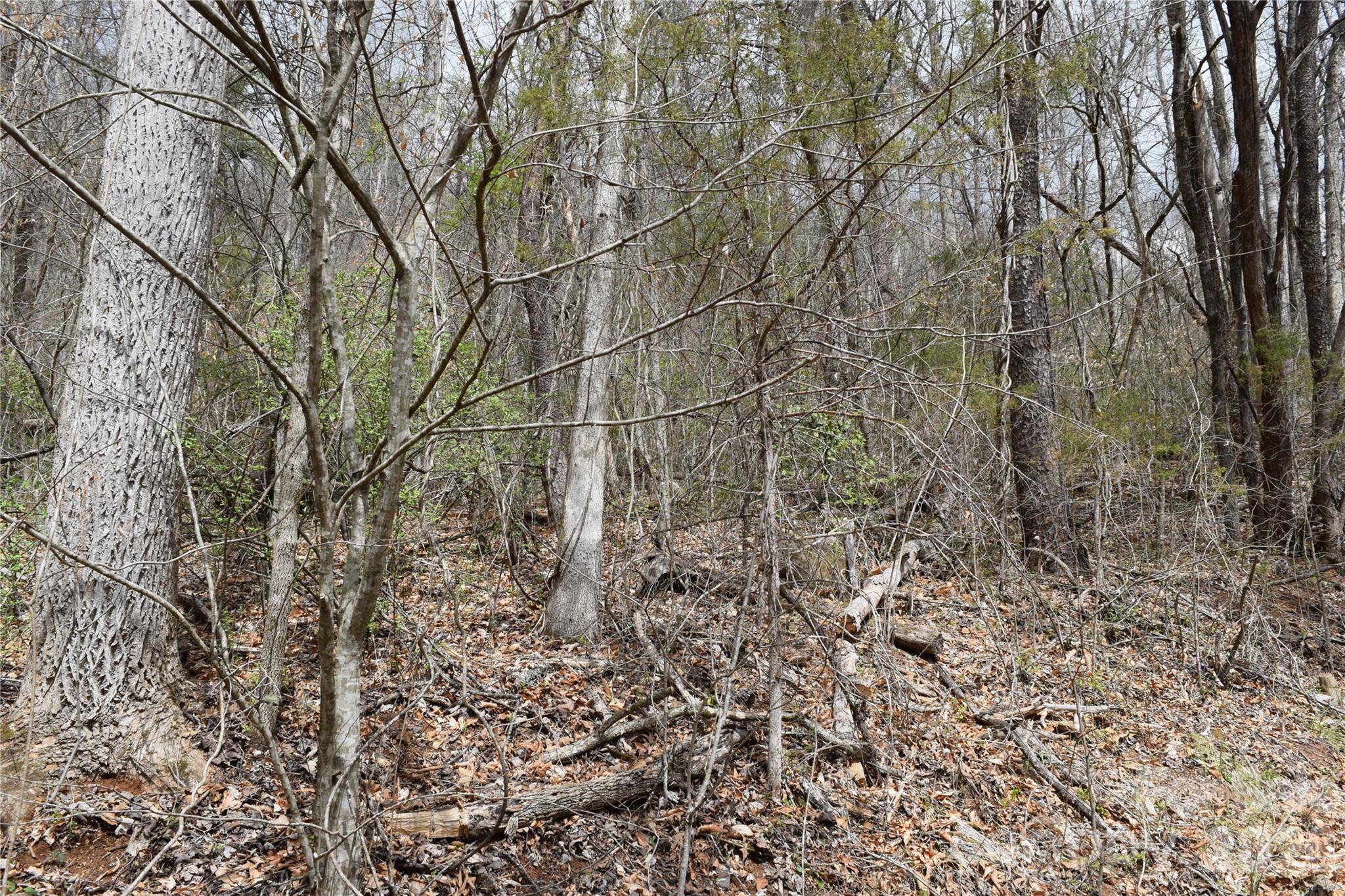 TBD Bel Air RD #20, Cullowhee, NC 28723
