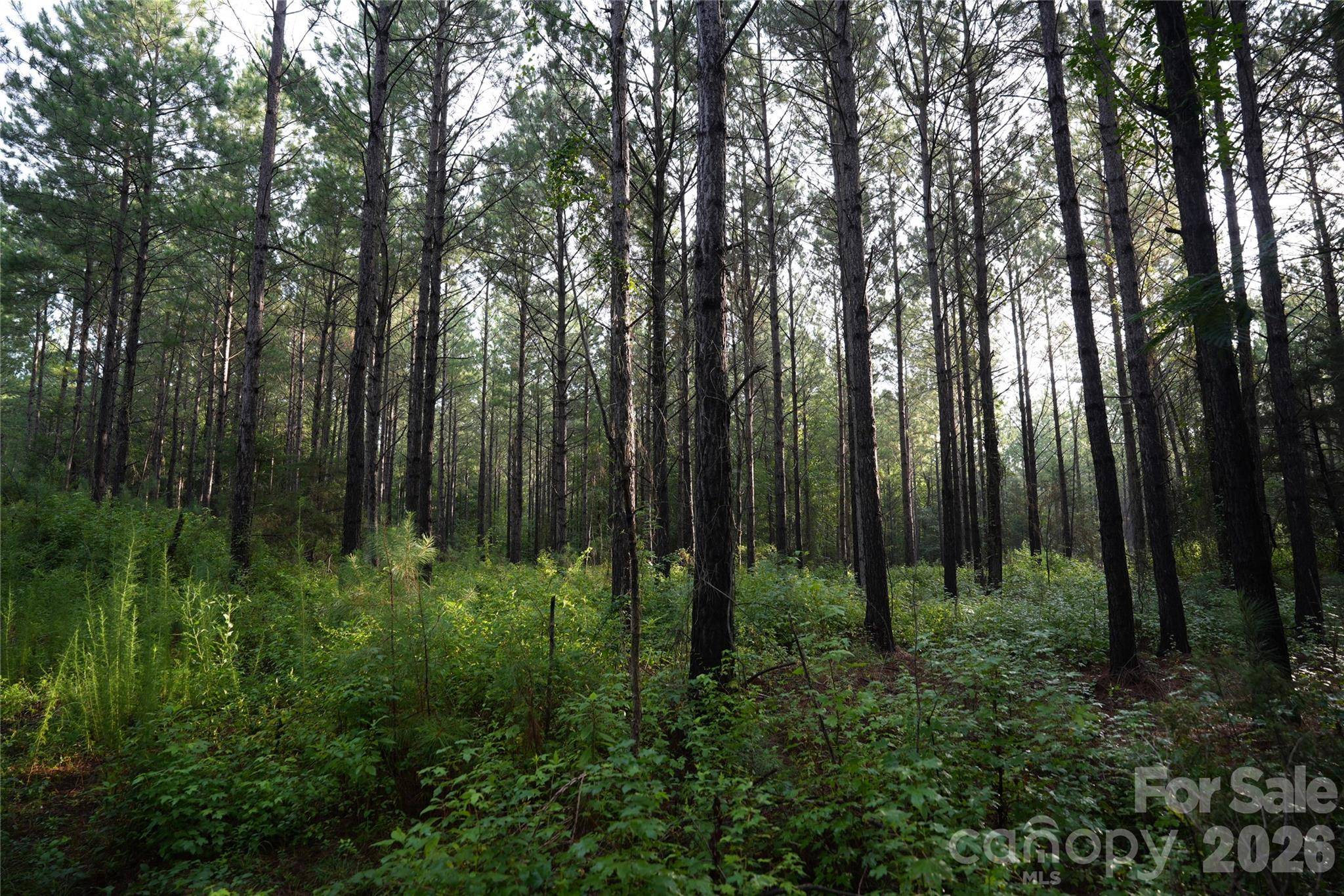 00 Bobby Faucette RD #8, Jonesville, SC 29353
