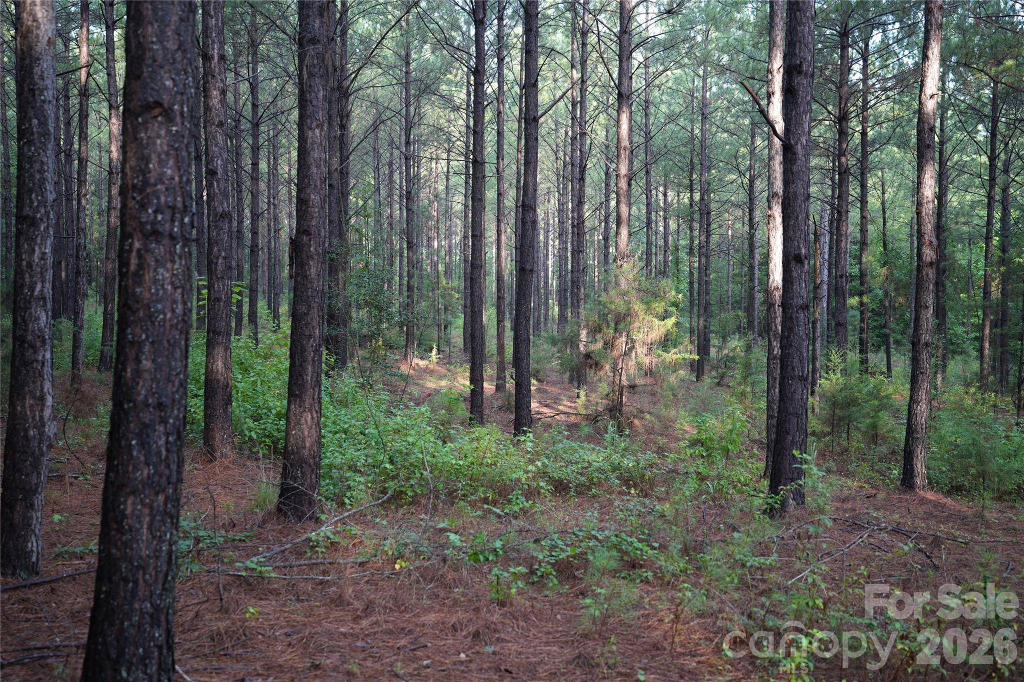 00 Bobby Faucette RD #8, Jonesville, SC 29353