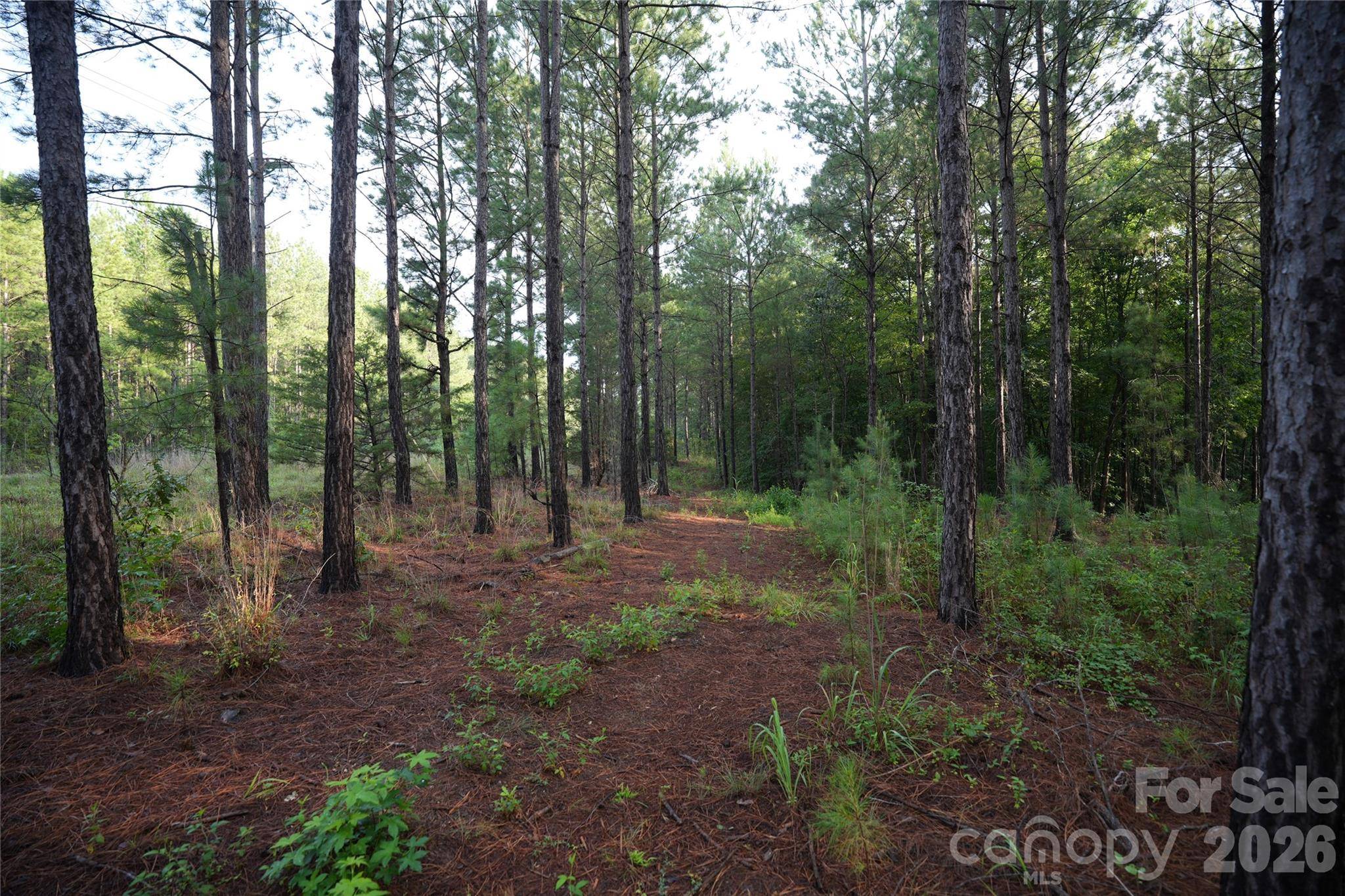 00 Bobby Faucette RD #9, Jonesville, SC 29353
