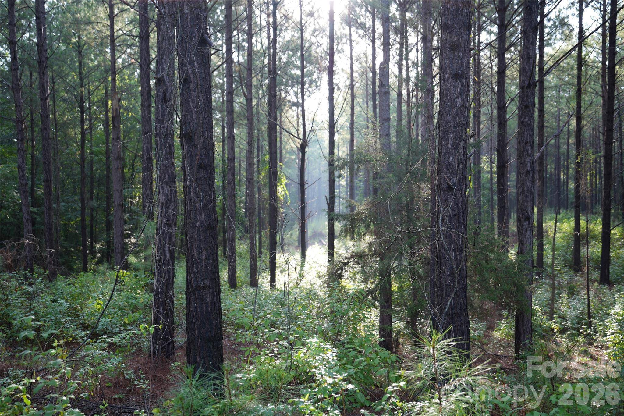 00 Bobby Faucette RD #9, Jonesville, SC 29353
