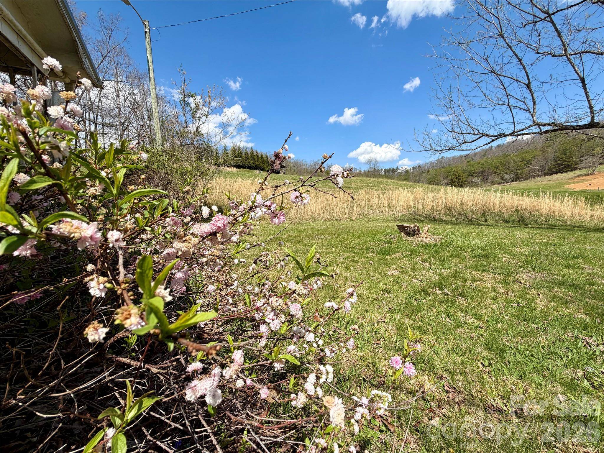 637 Fletcher Martin RD, Alexander, NC 28701