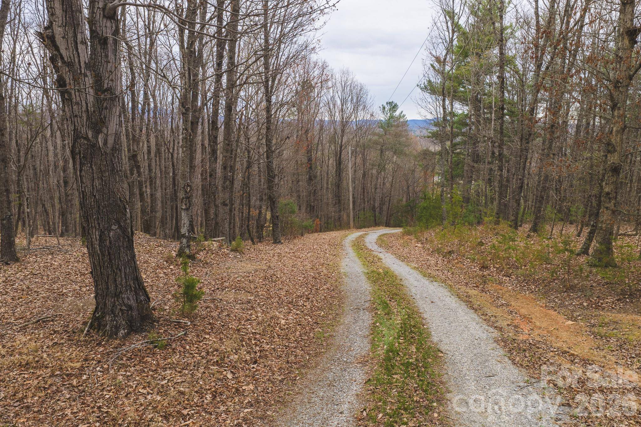 Tract 4 All Healing Springs RD #1, Taylorsville, NC 28681