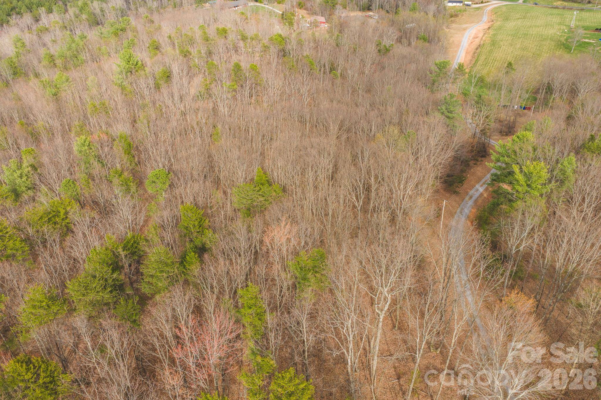 Tract 4 All Healing Springs RD #1, Taylorsville, NC 28681