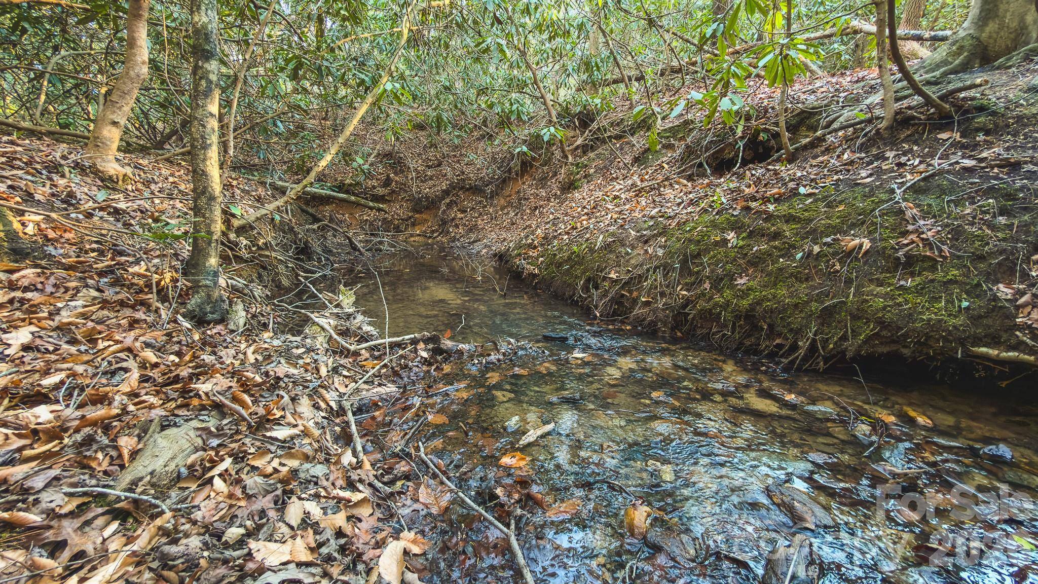 Tract 4 All Healing Springs RD #1, Taylorsville, NC 28681