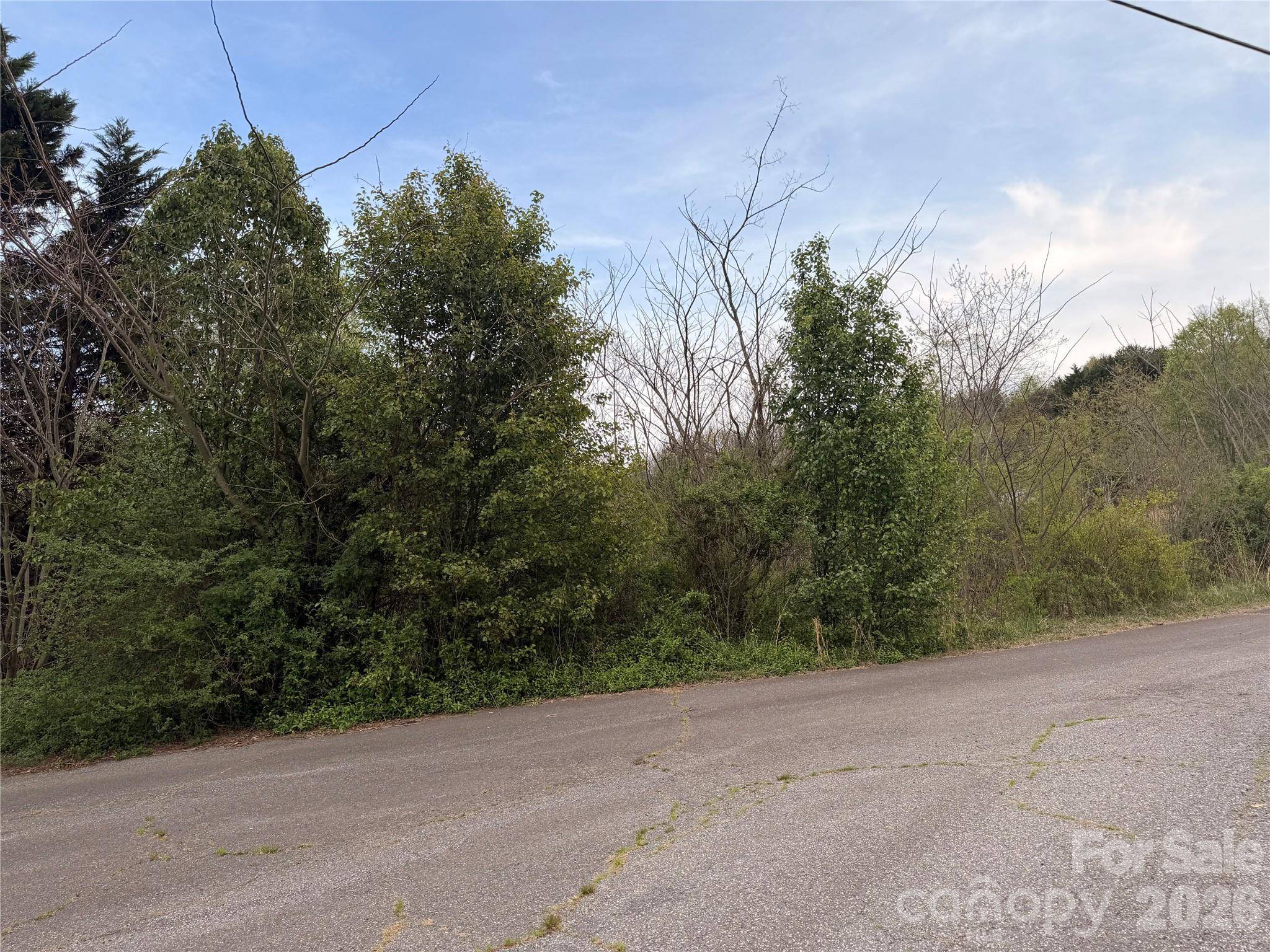 7557 Cowtail LN, Connelly Springs, NC 28612