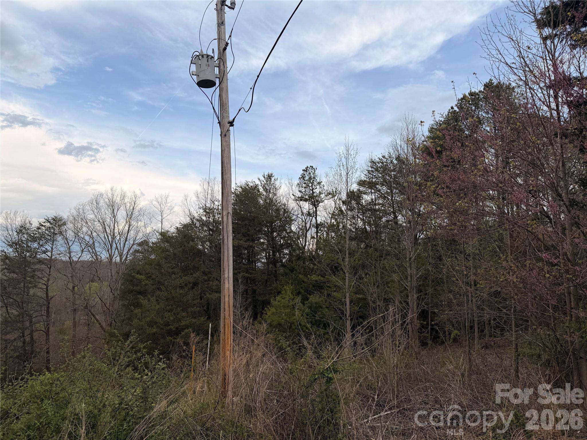 7557 Cowtail LN, Connelly Springs, NC 28612