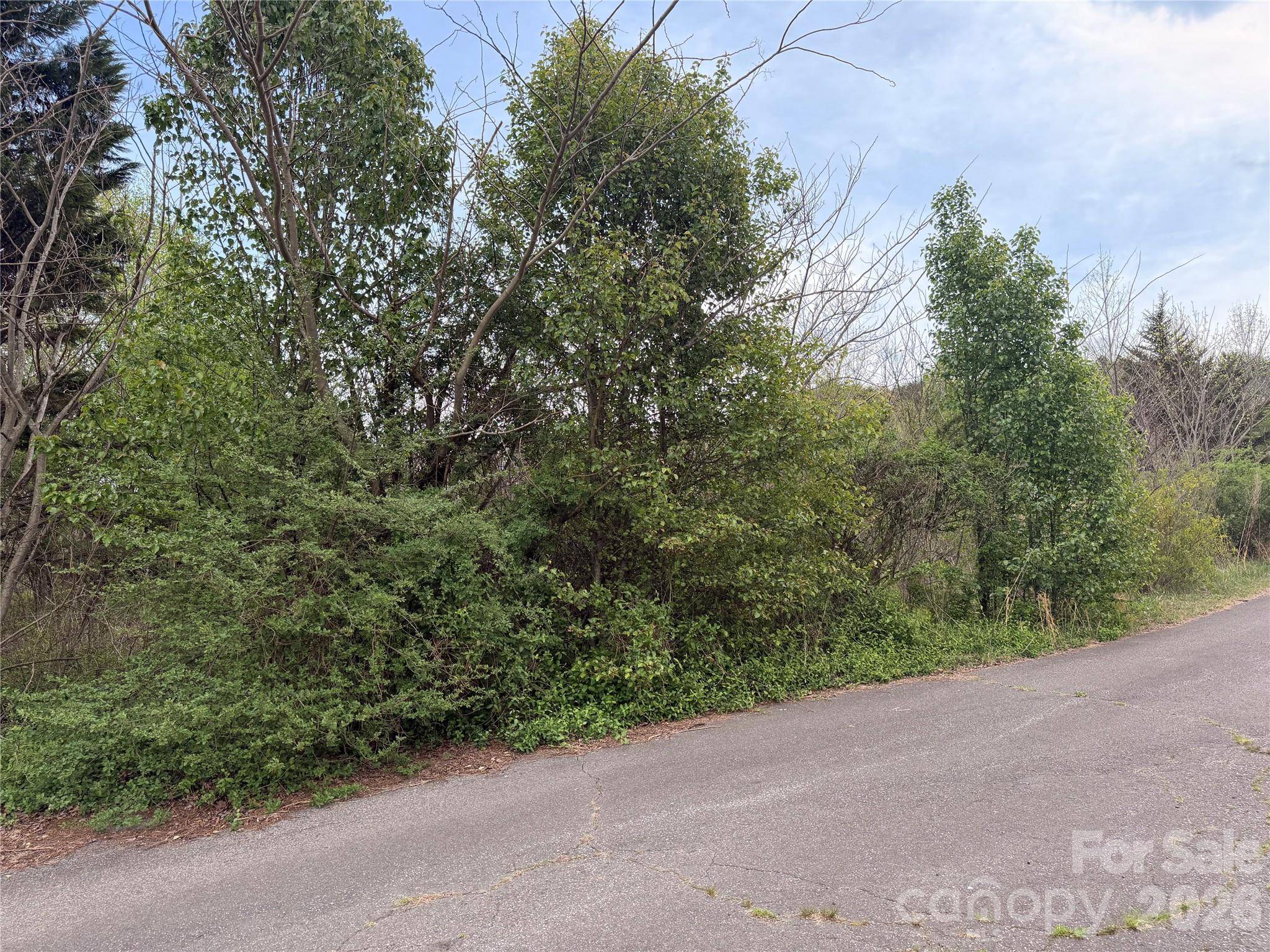 7557 Cowtail LN, Connelly Springs, NC 28612
