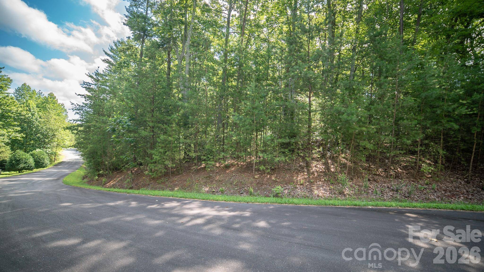 Lot 111 Trellis DR, Nebo, NC 28761