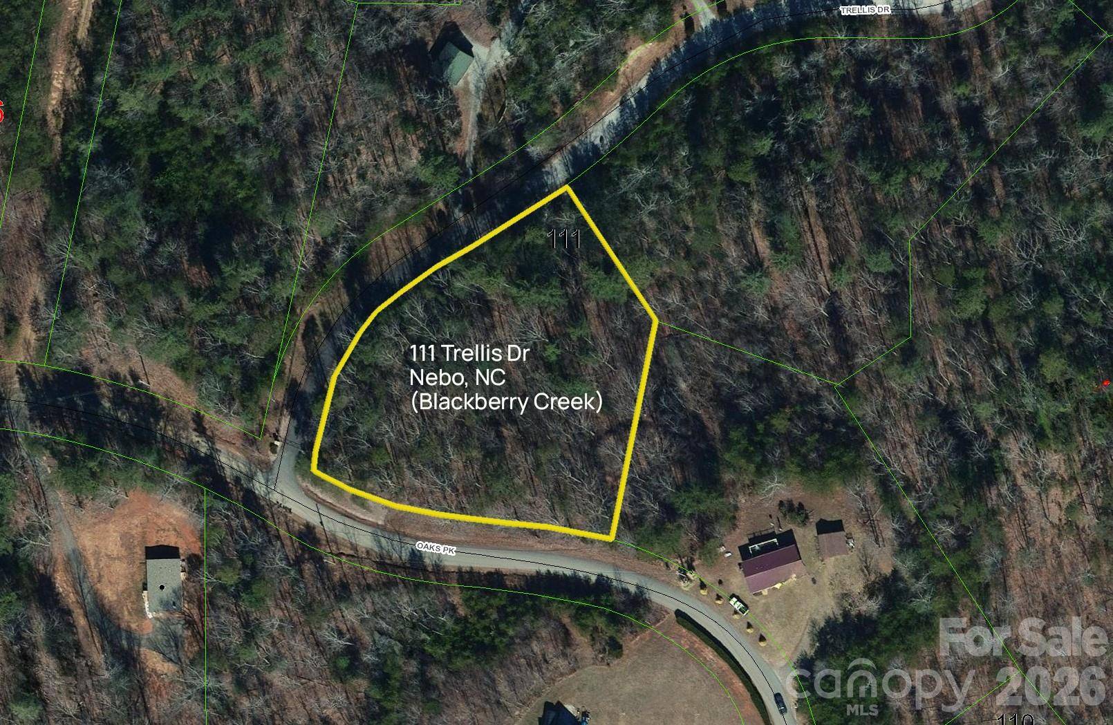 Lot 111 Trellis DR, Nebo, NC 28761