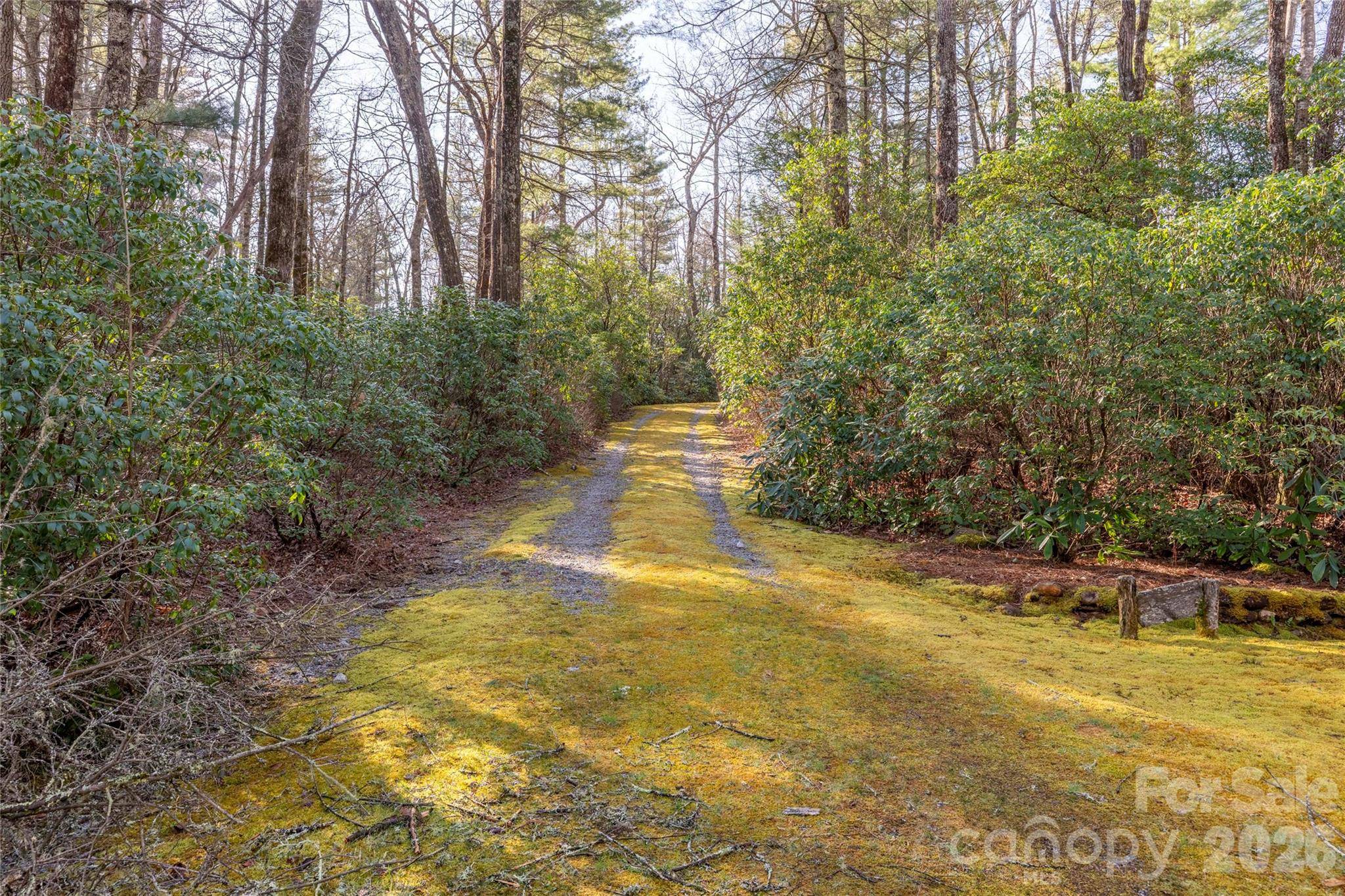 TRP 1 Cardinal DR W, Lake Toxaway, NC 28747