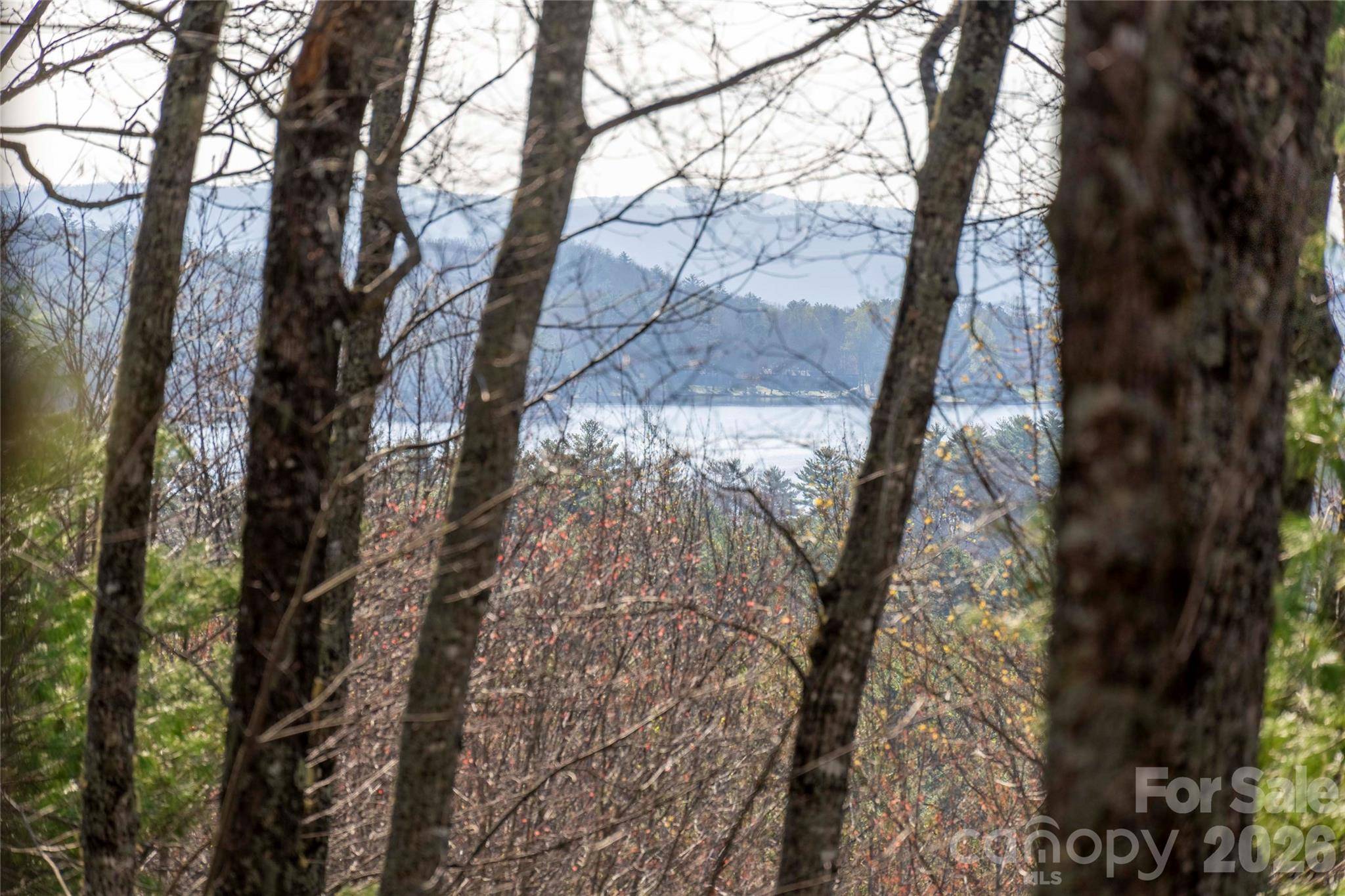TRP 1 Cardinal DR W, Lake Toxaway, NC 28747
