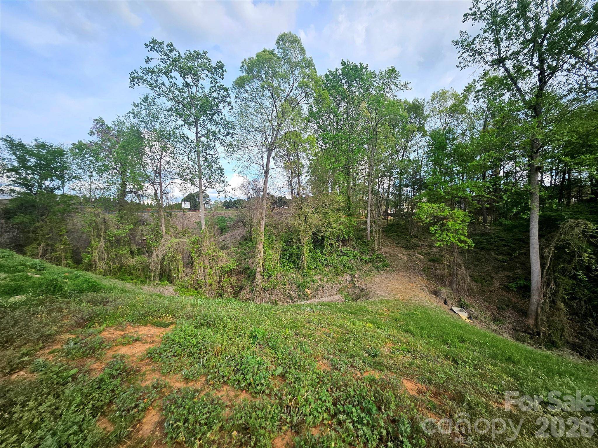 1110 Clark Hill DR, Belmont, NC 28012